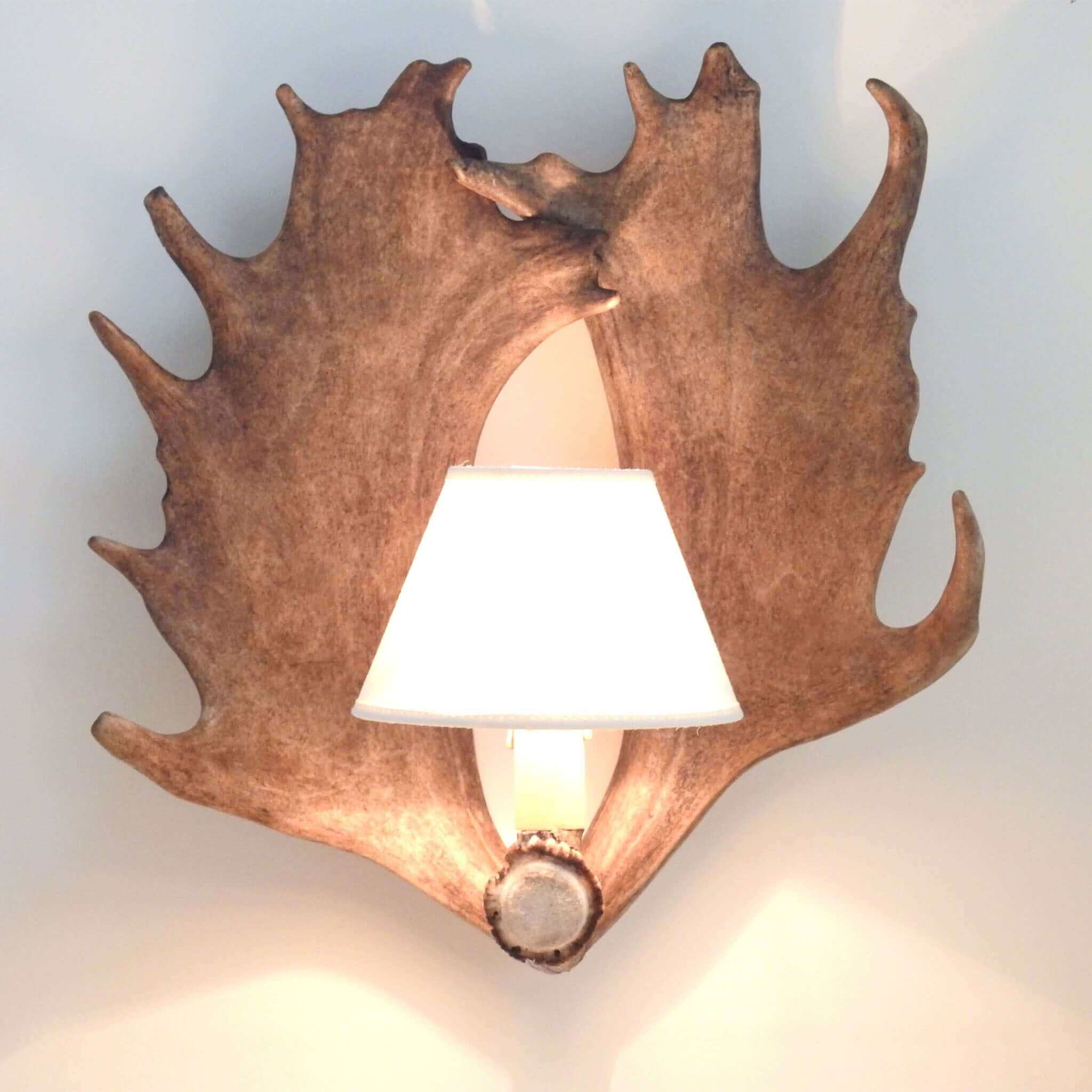 Fallow deer antler sconce with shades