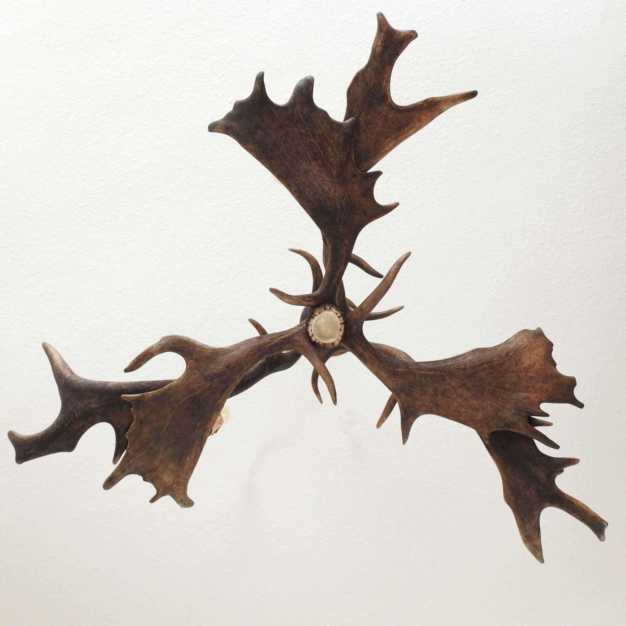 Real low ceiling antler chandelier