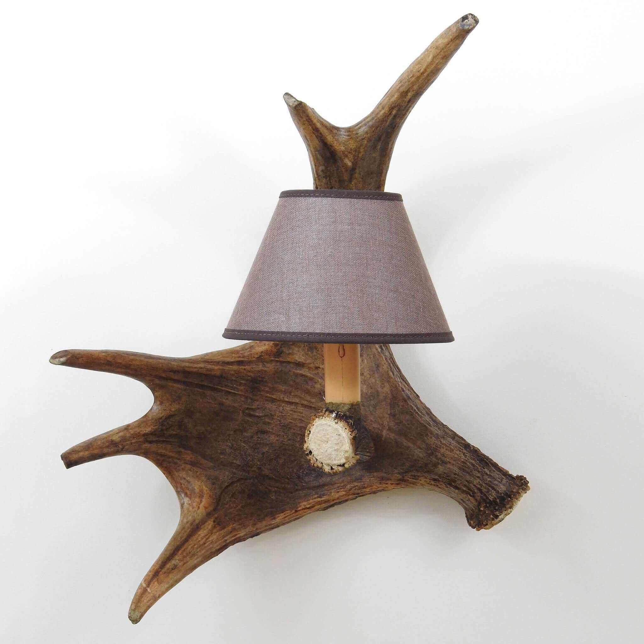 Single moose sconce with shade