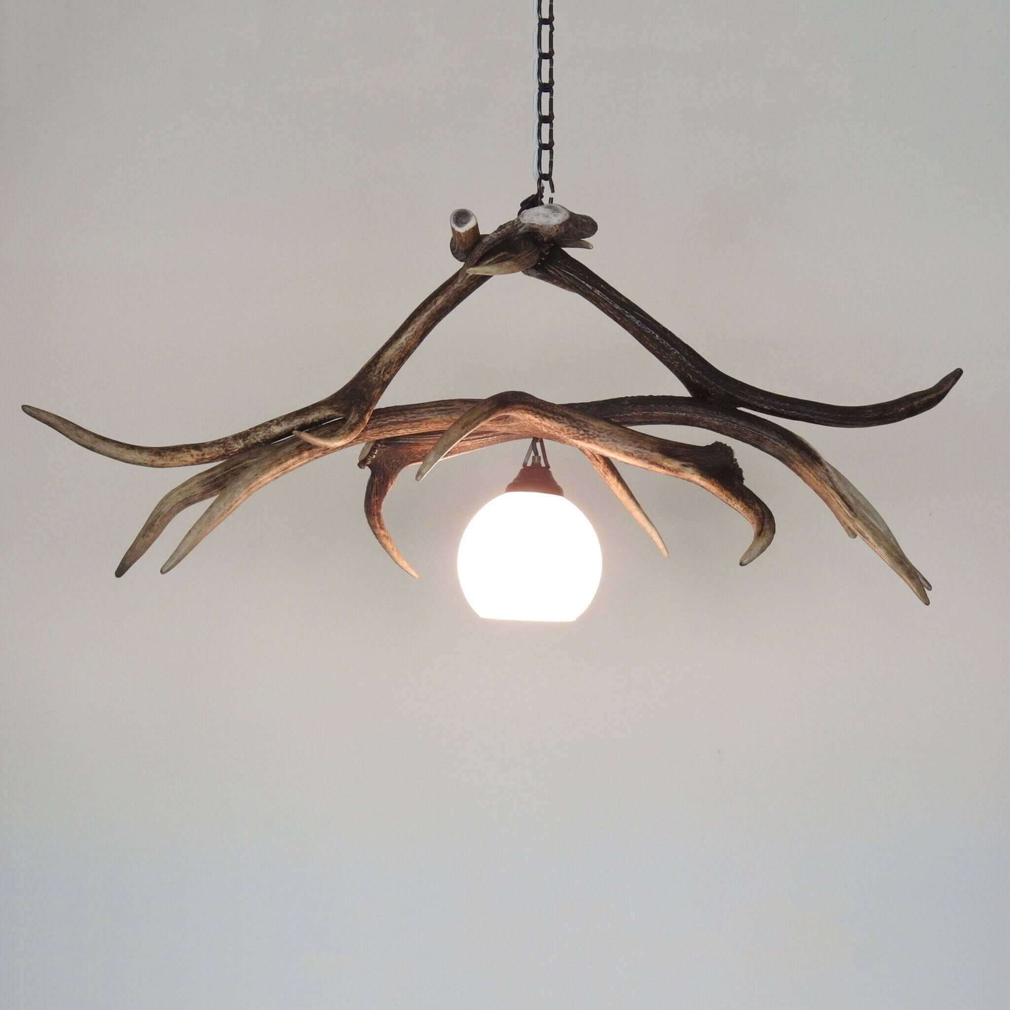 Real antler pendant lamp