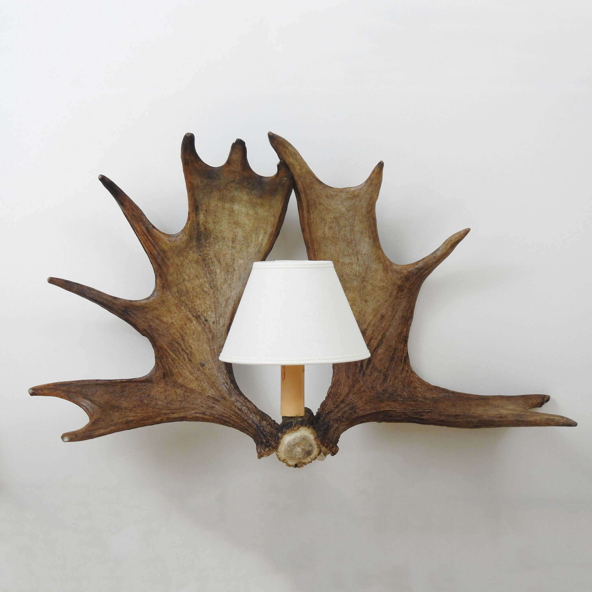 Real double moose antler sconce with shades