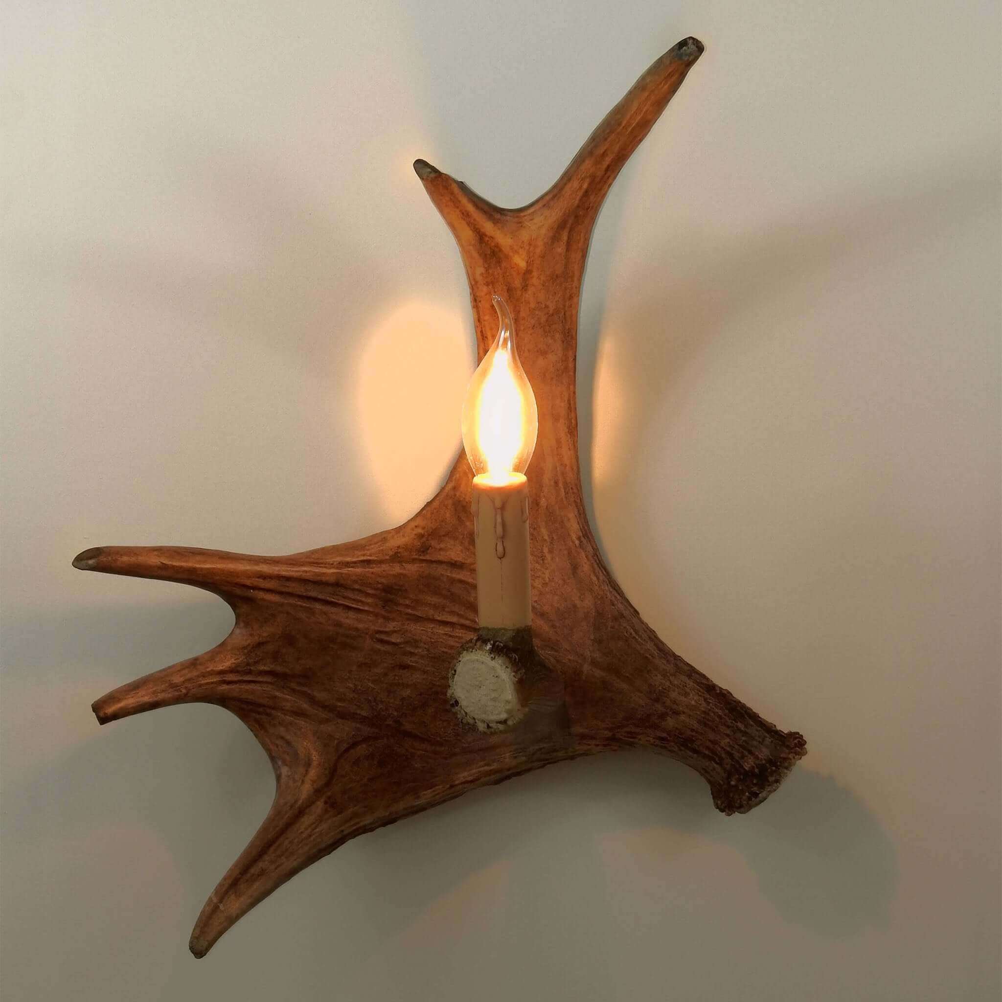 Real single moose sconce