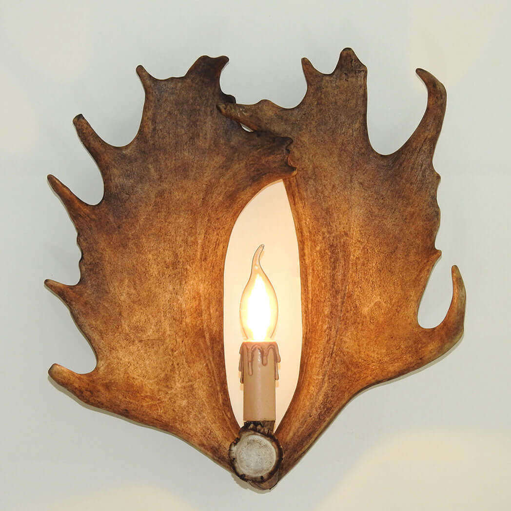 Real fallow deer antler sconce