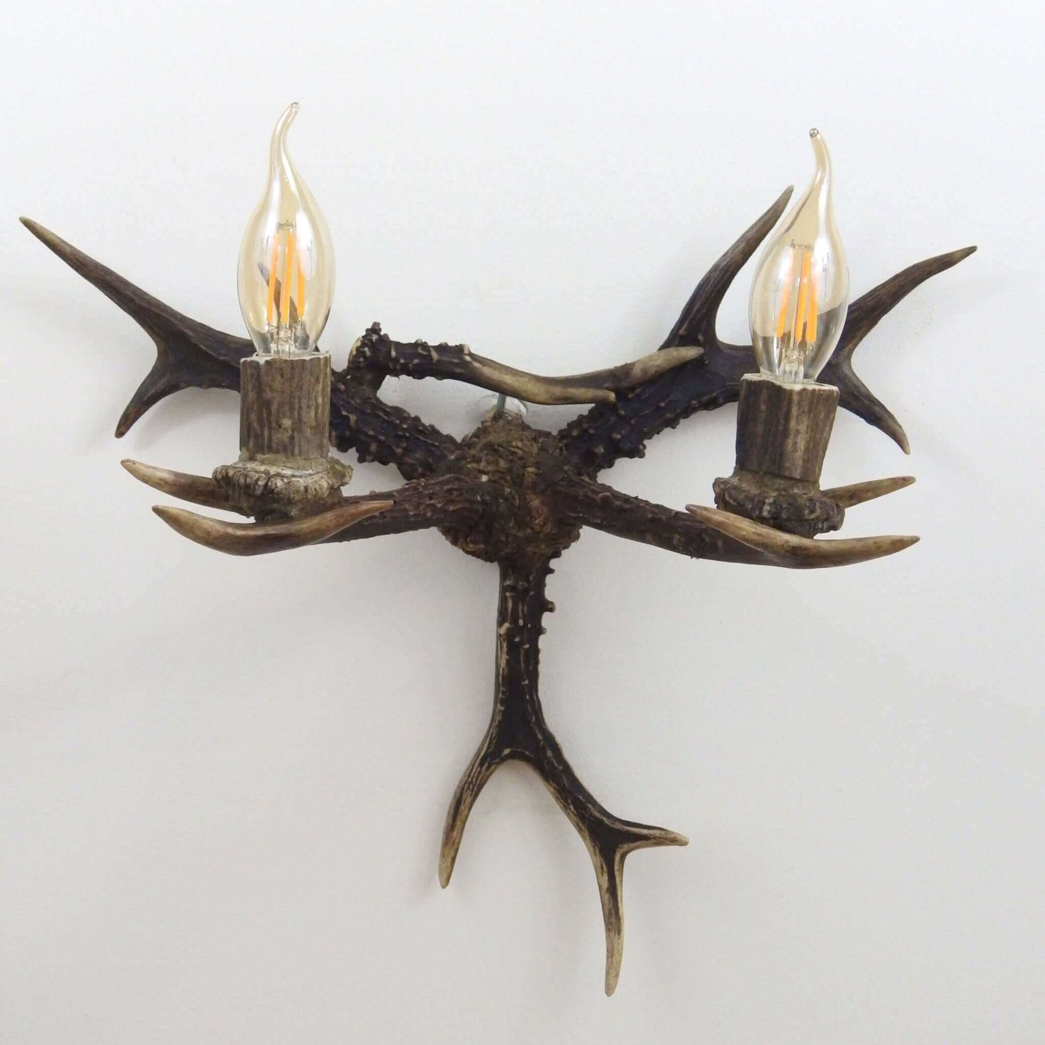 Real antler sconce for 2 lights