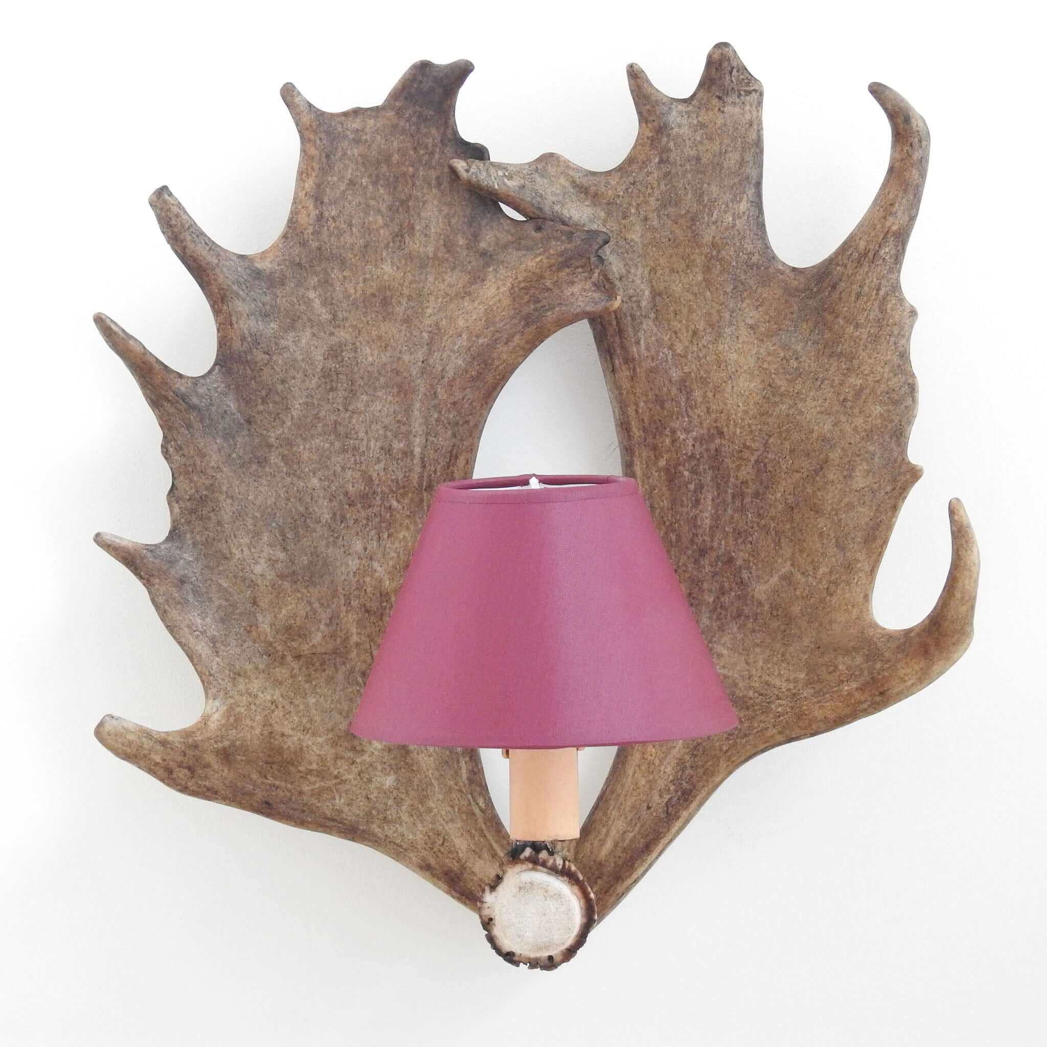 Fallow deer antler sconce with shades