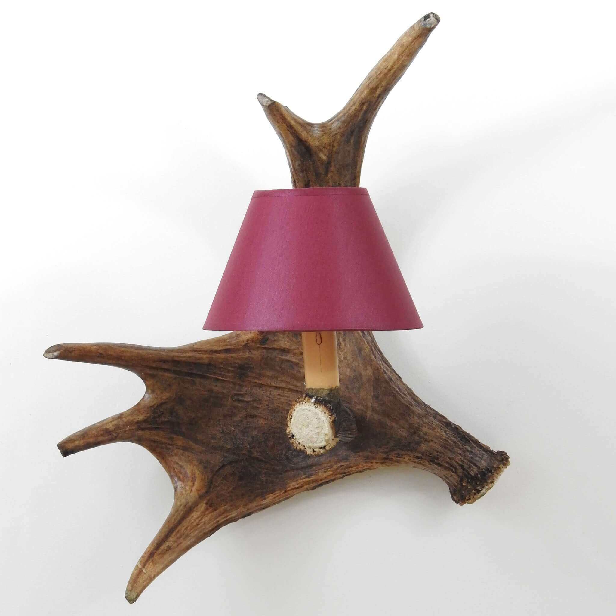 Single moose sconce with shade