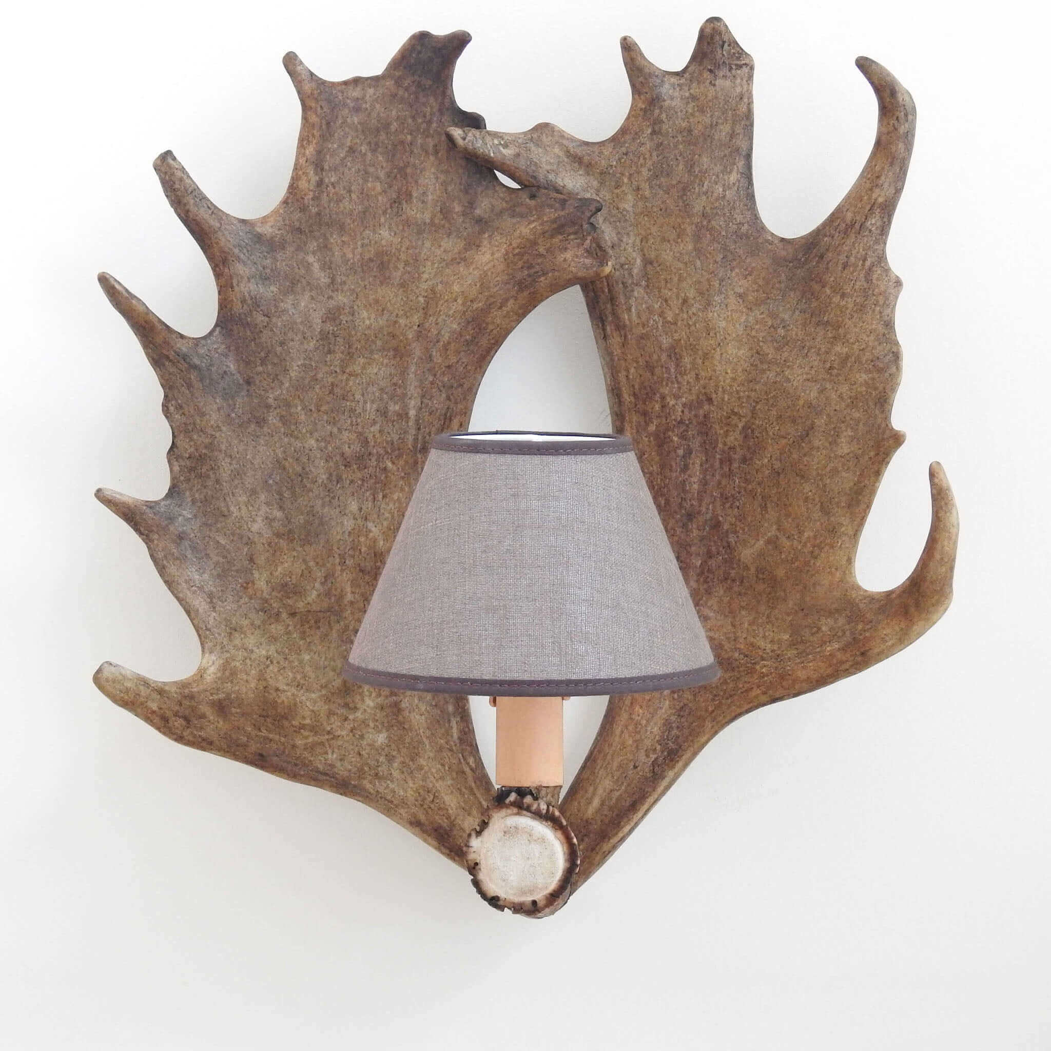 Fallow deer antler sconce with shades