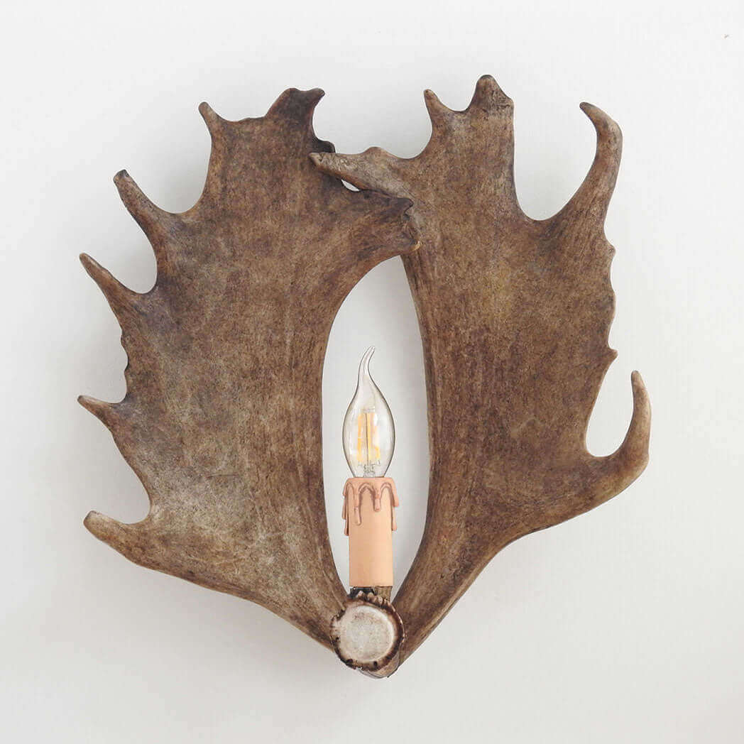 Real fallow deer antler sconce