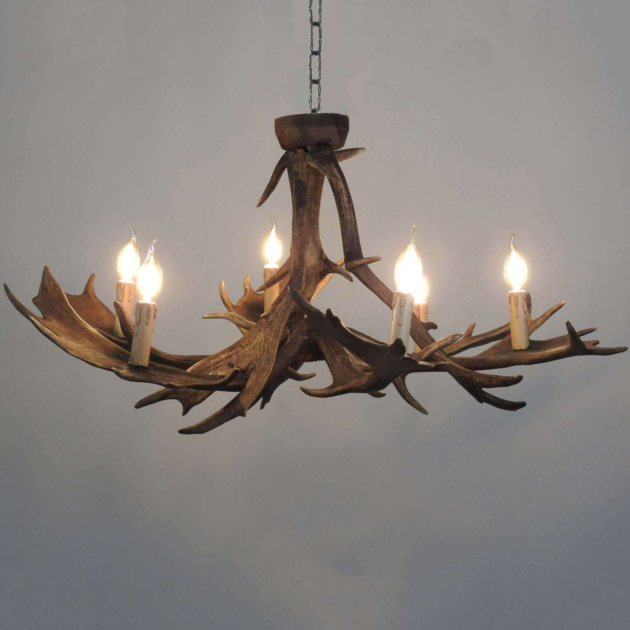 Classic fallow deer antler chandelier for 6 lights