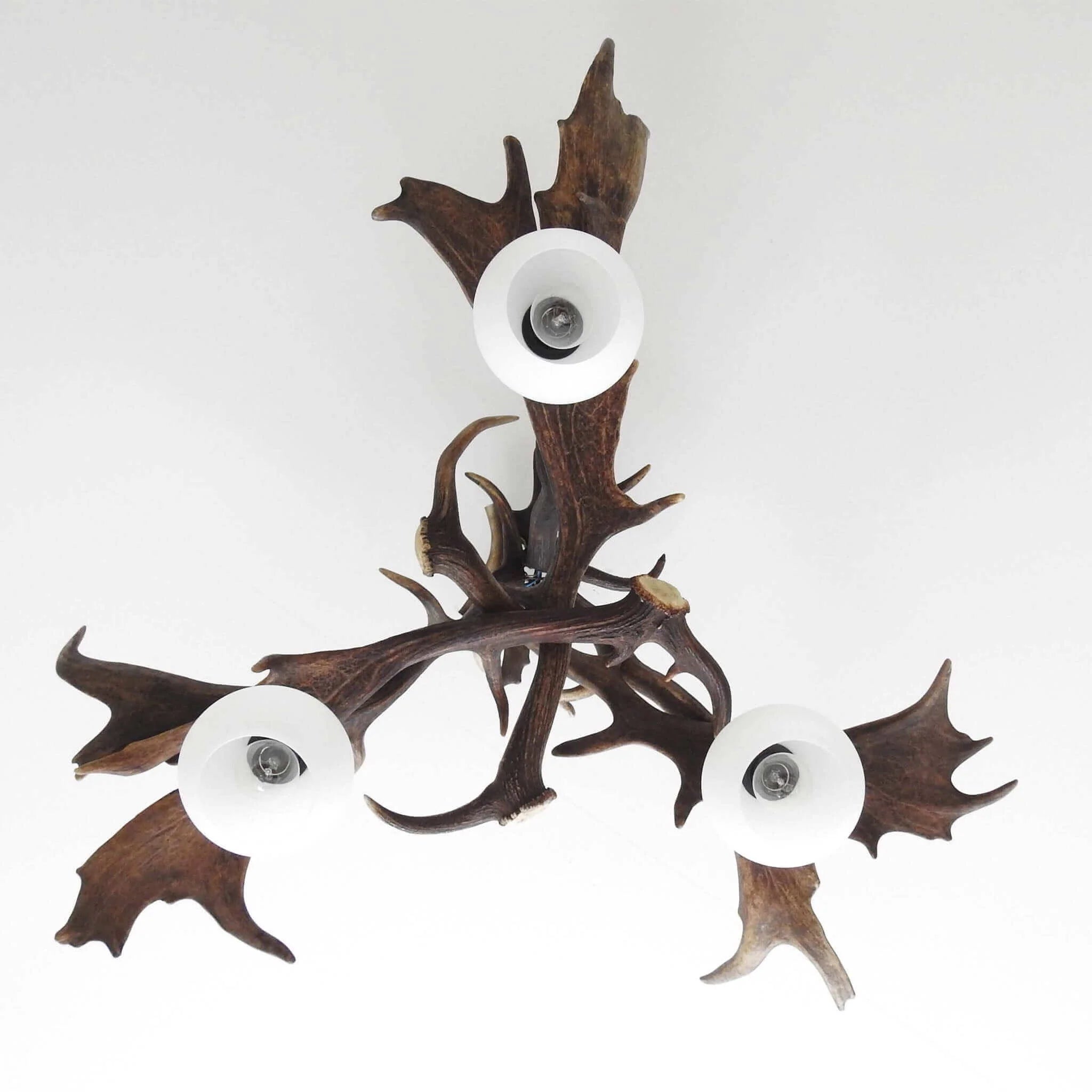 Real antler pendant lamp for 3 lights