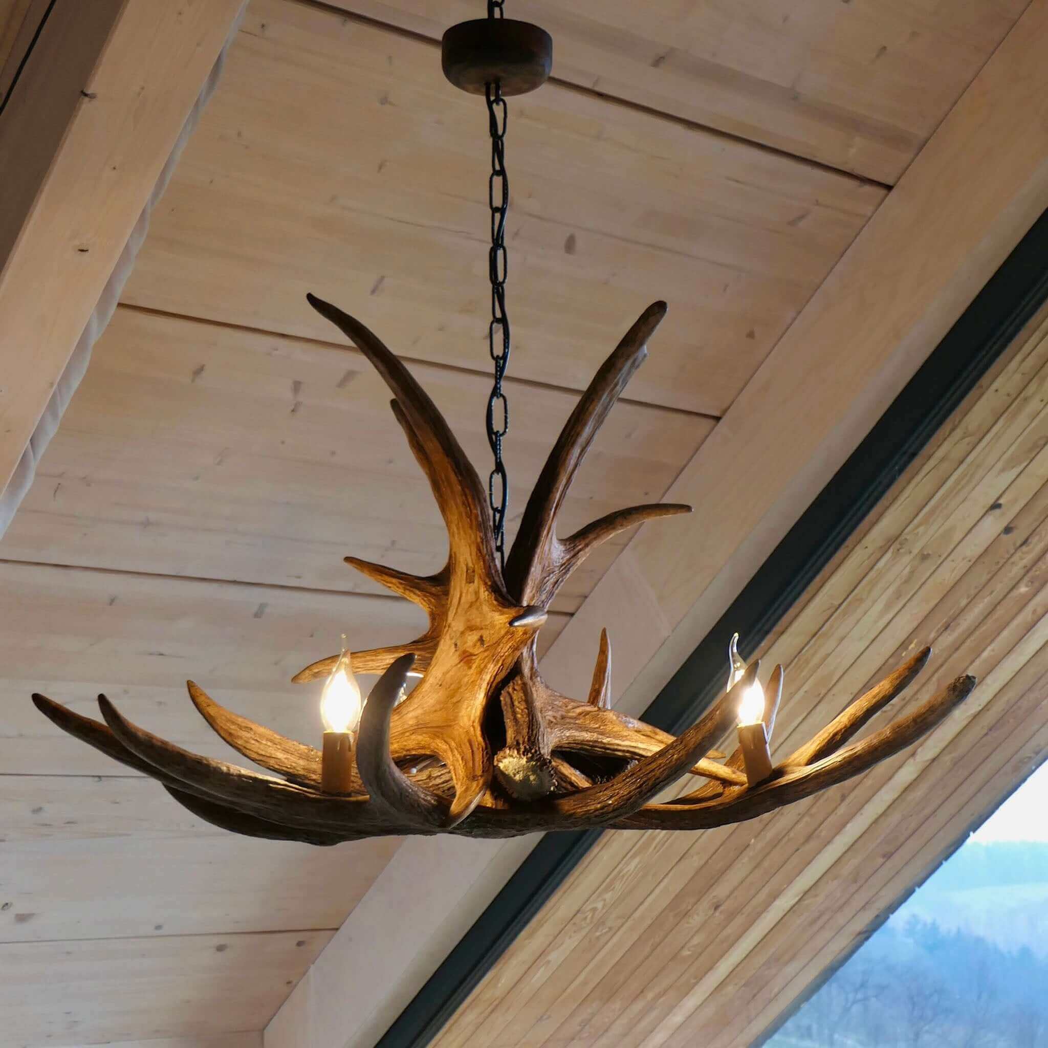 Real moose antler chandelier