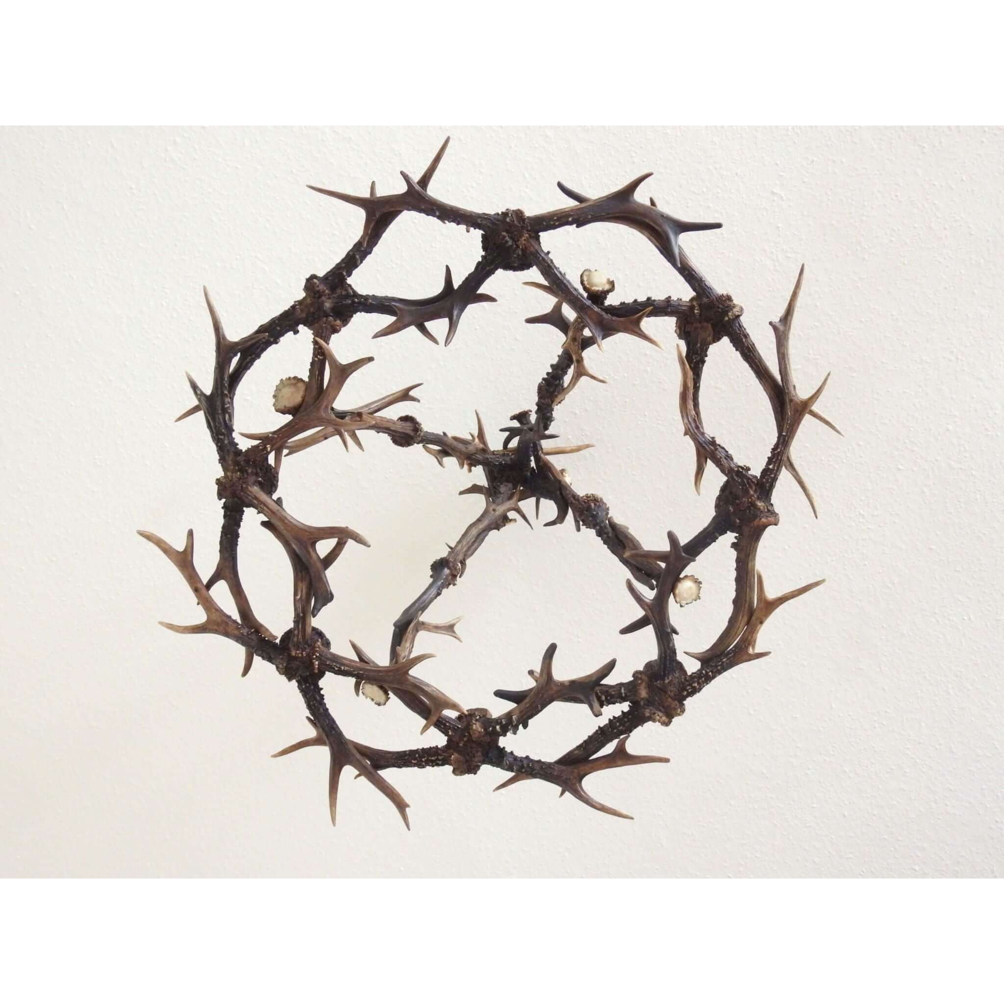 Real antler chandelier for 8 lights