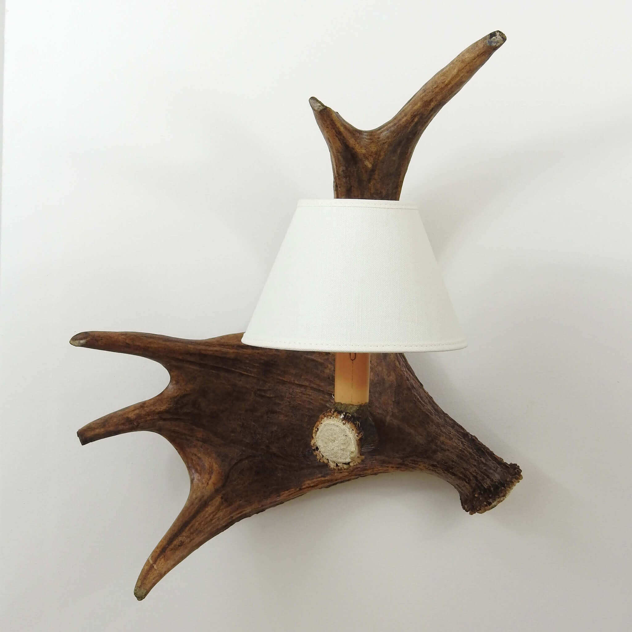 Single moose sconce with shade