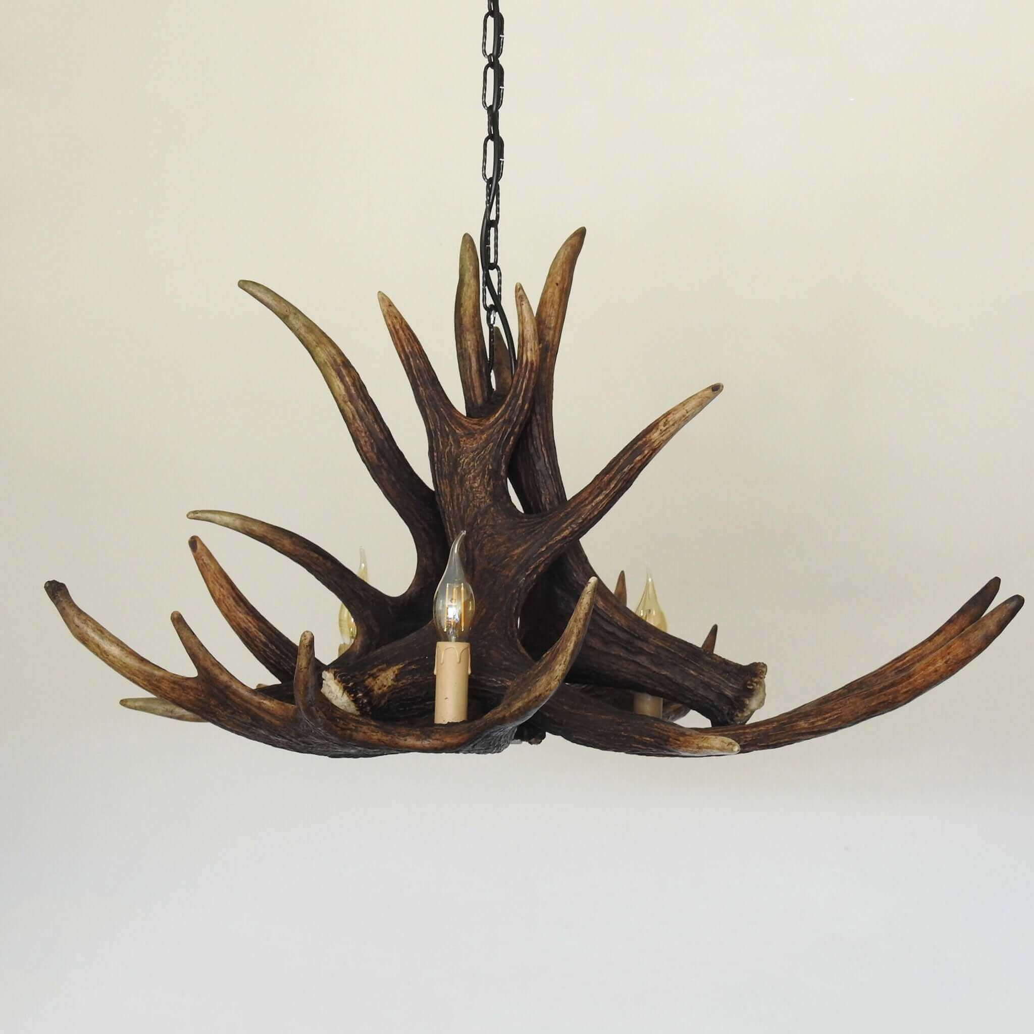 Real moose antler chandelier