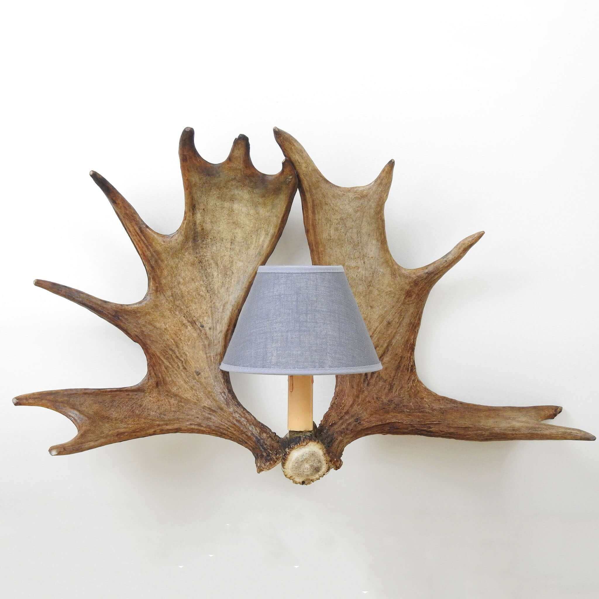Real double moose antler sconce with shades