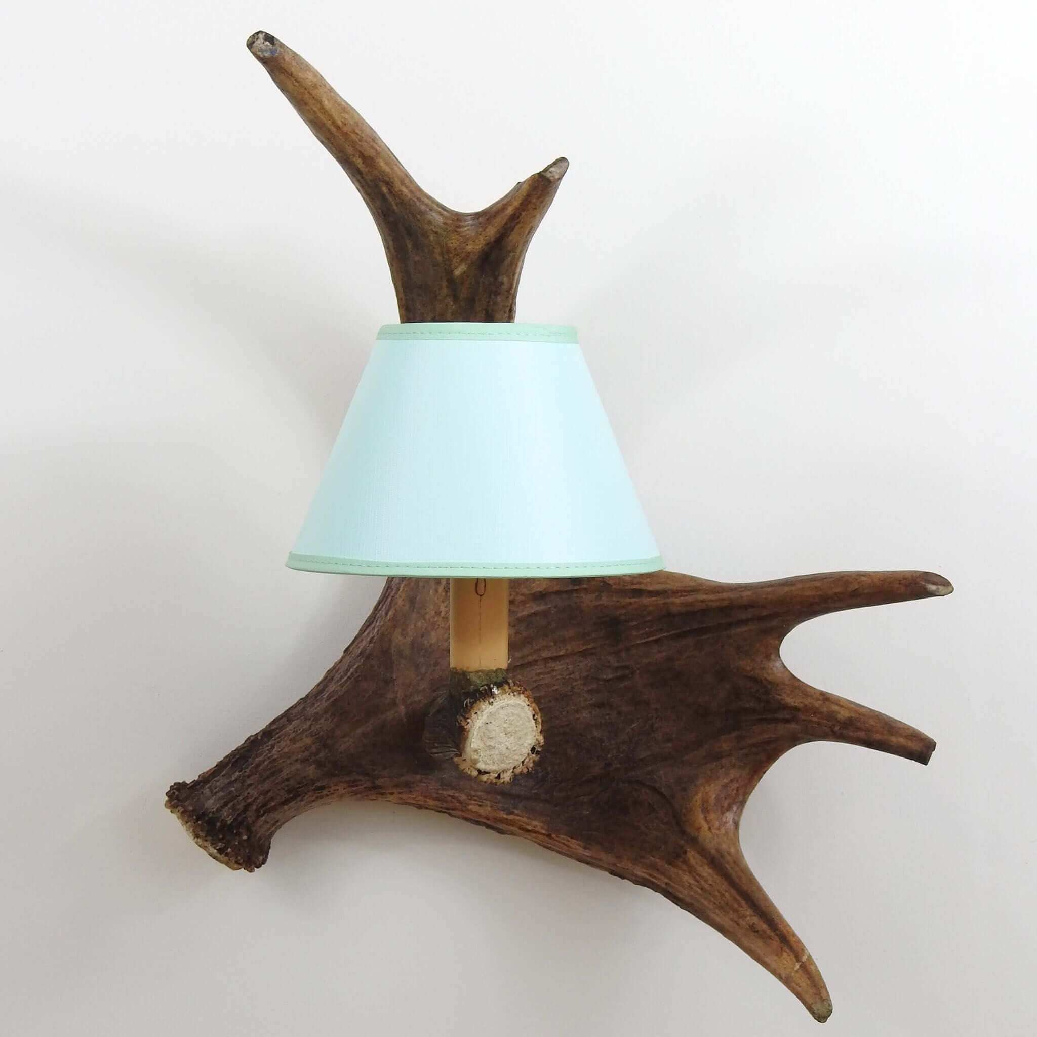 Single moose sconce with shade