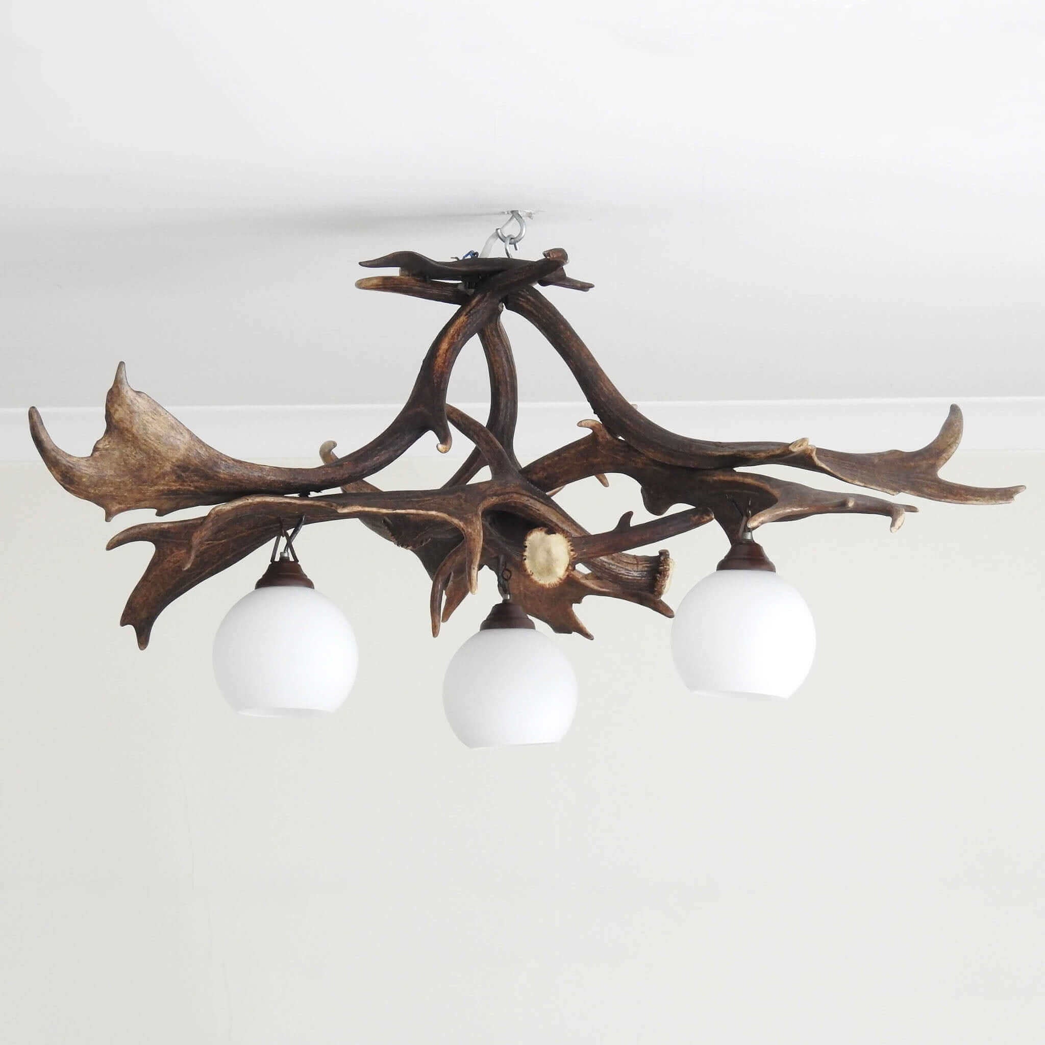 Real antler pendant lamp for 3 lights