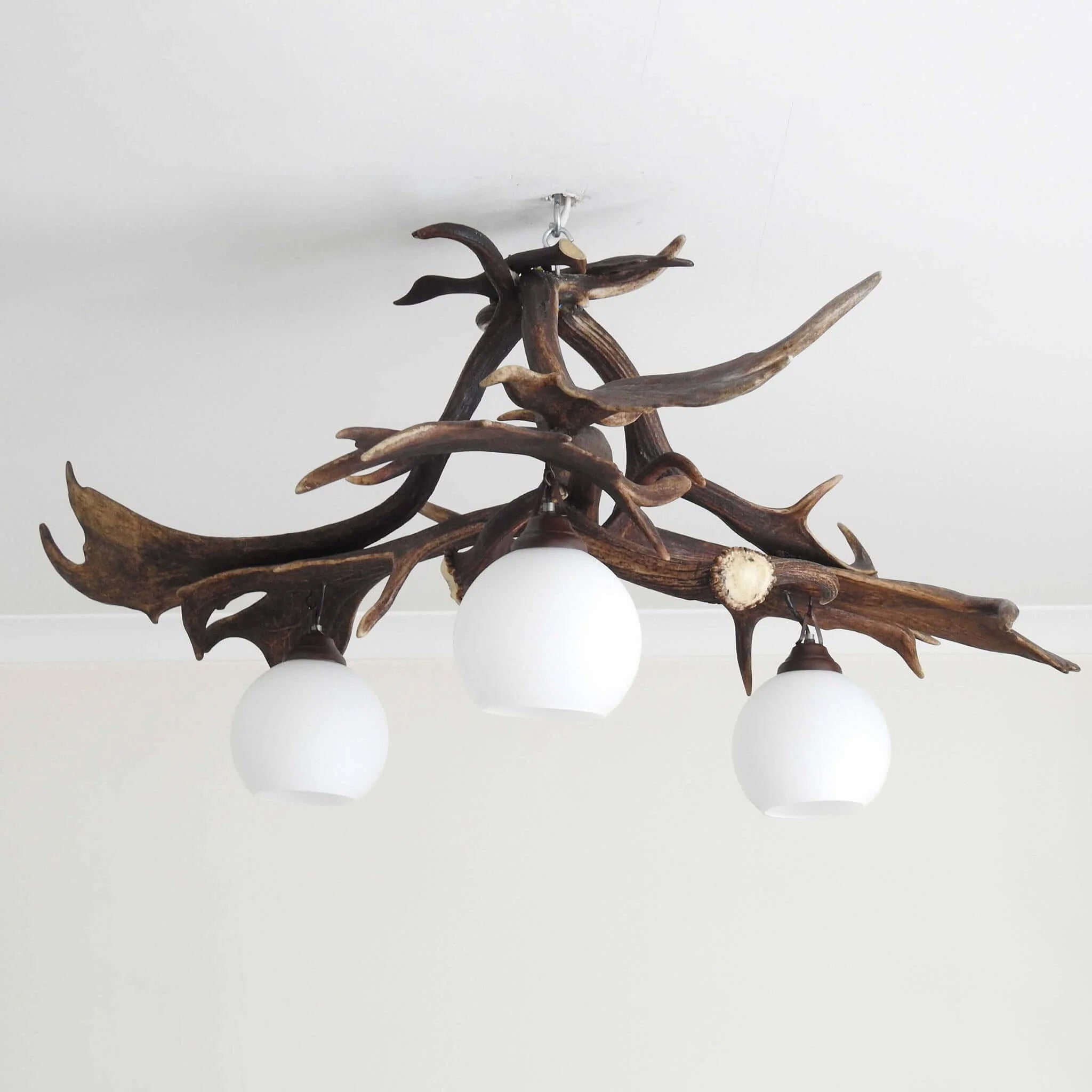 Real antler pendant lamp for 3 lights