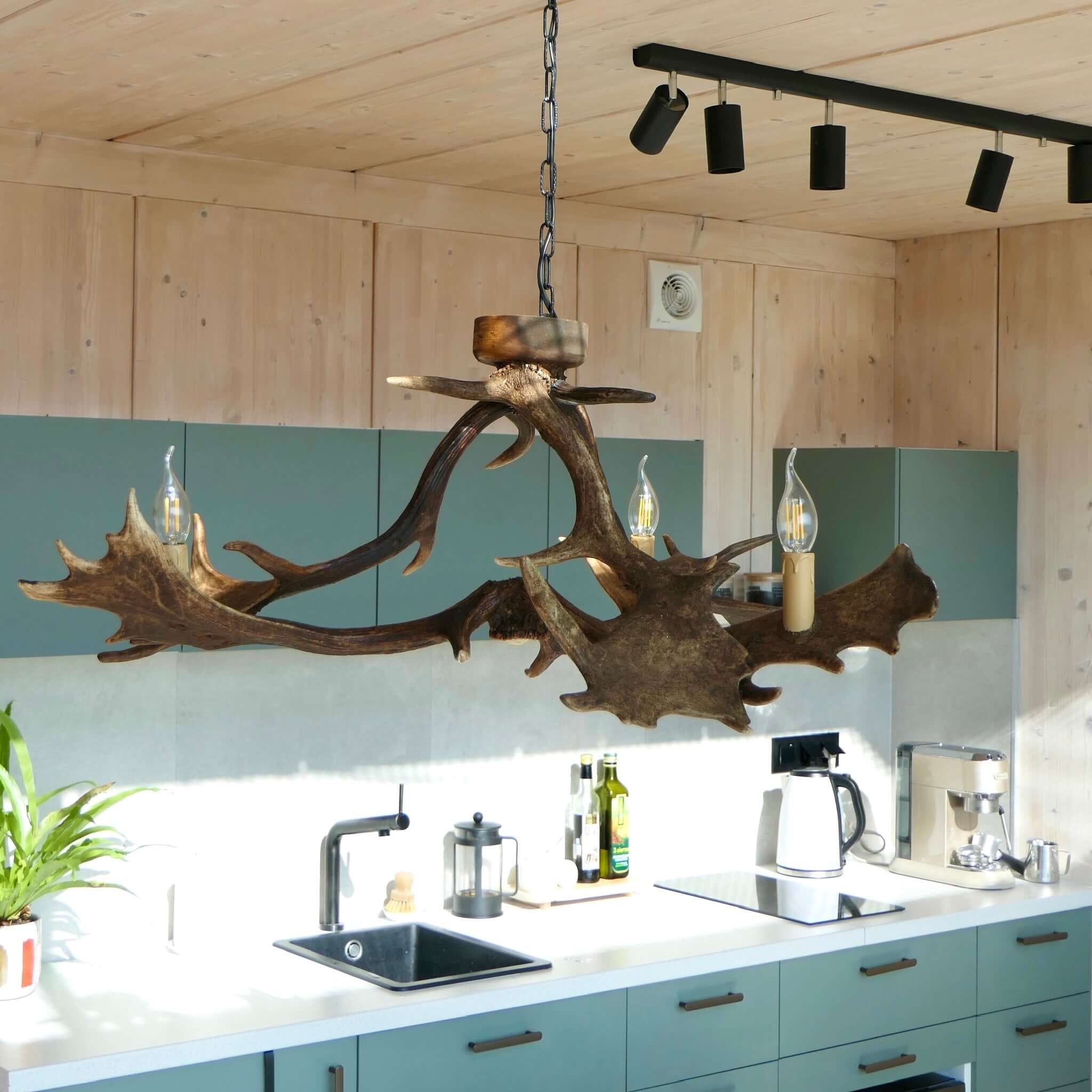 Real low ceiling antler chandelier