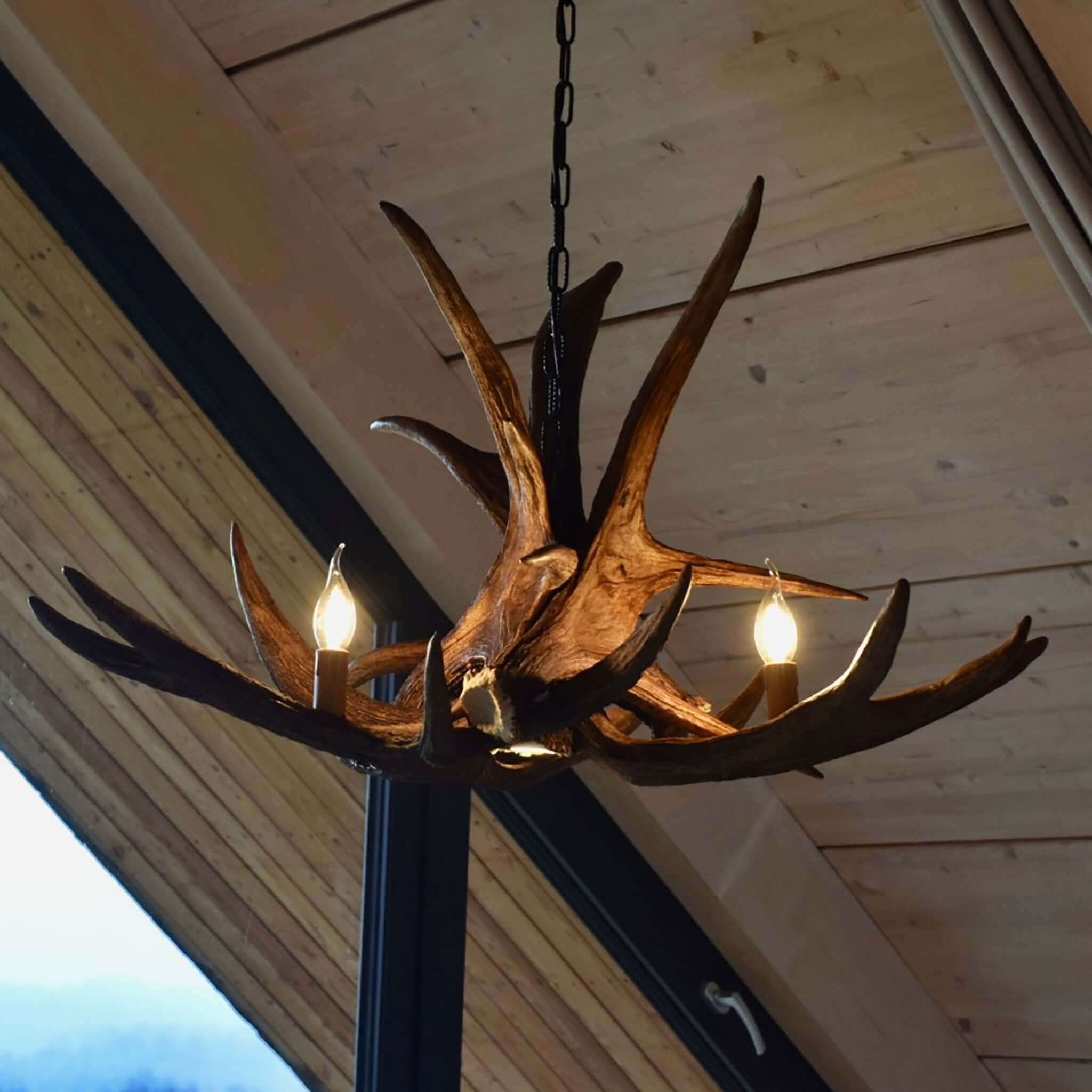 Real moose antler chandelier