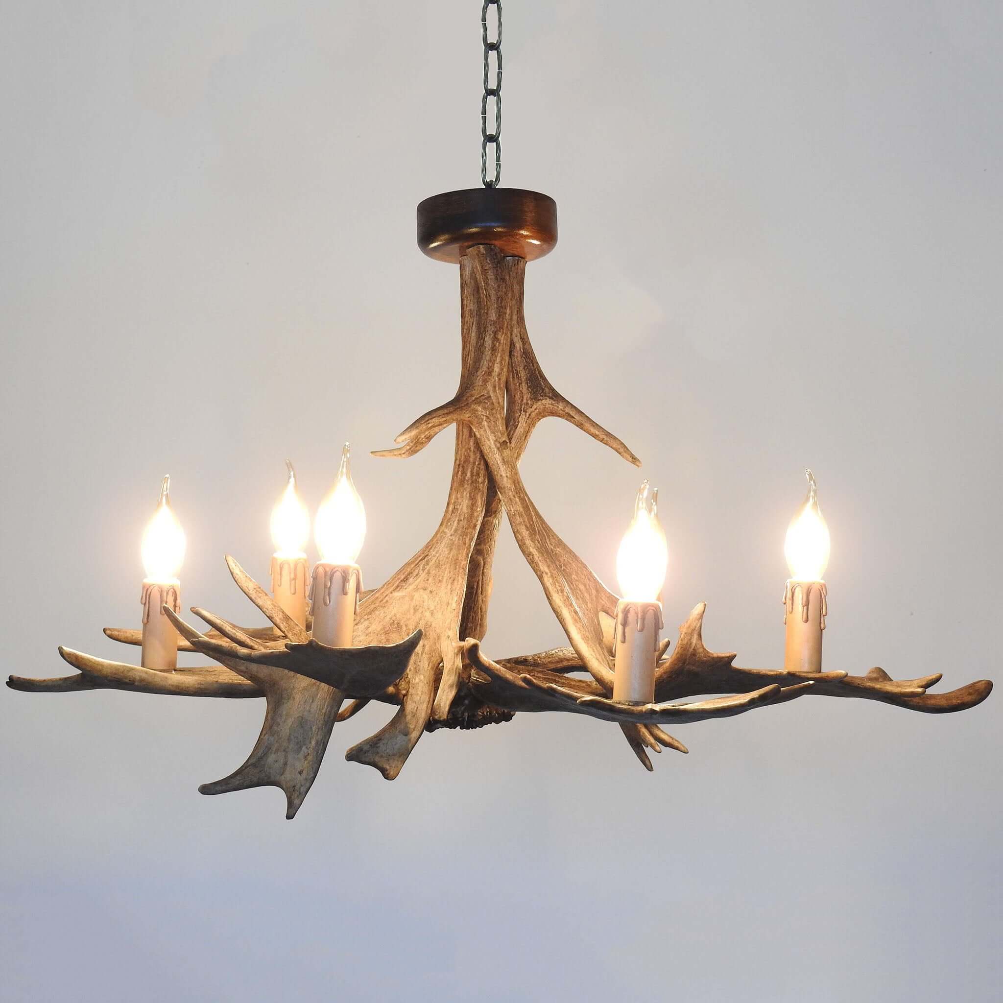 Classic fallow deer antler chandelier for 6 lights