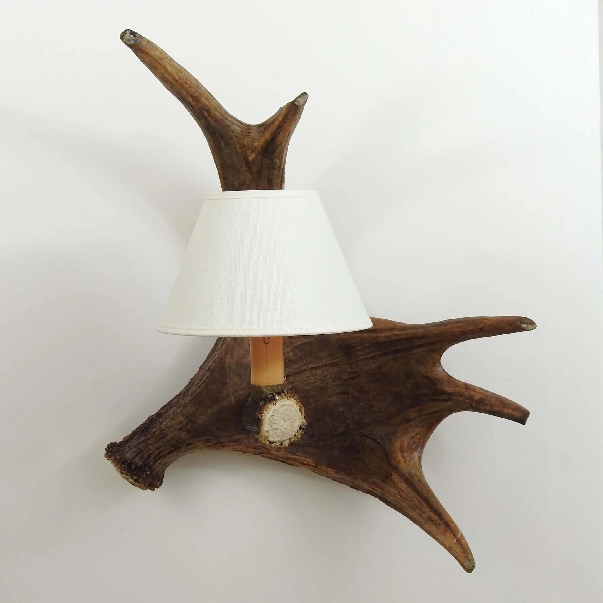 Single moose sconce with shade