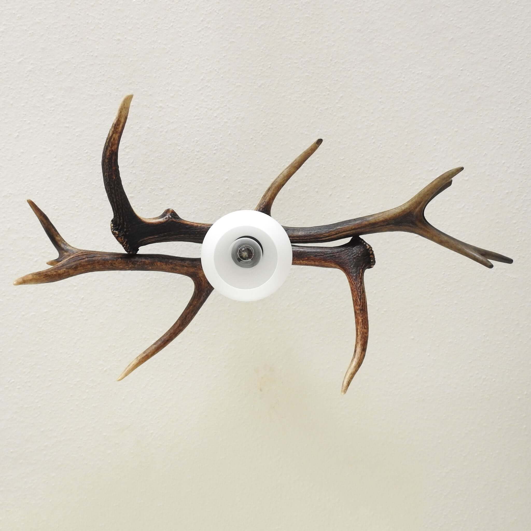 Real low ceiling antler lamp