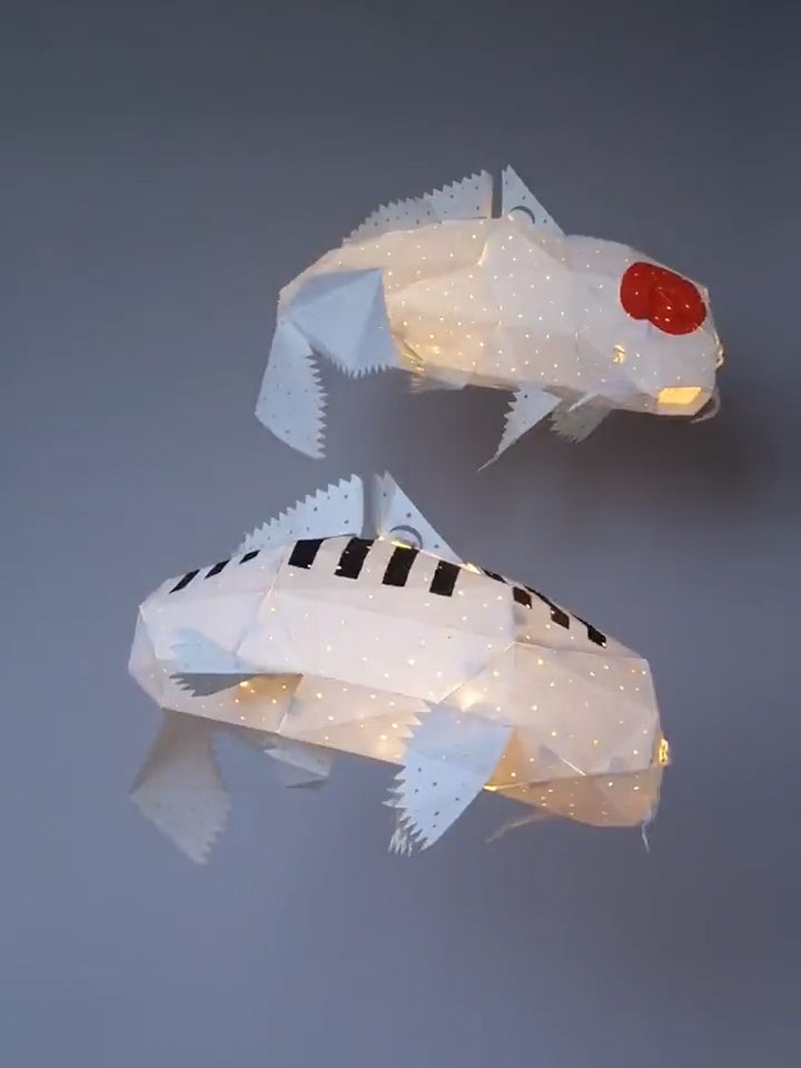 Pendant Koi Tancho light