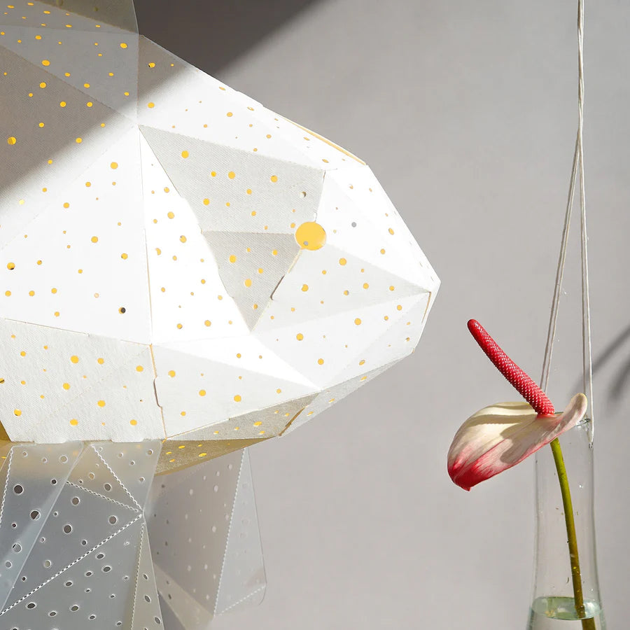 Pendant goldfish light