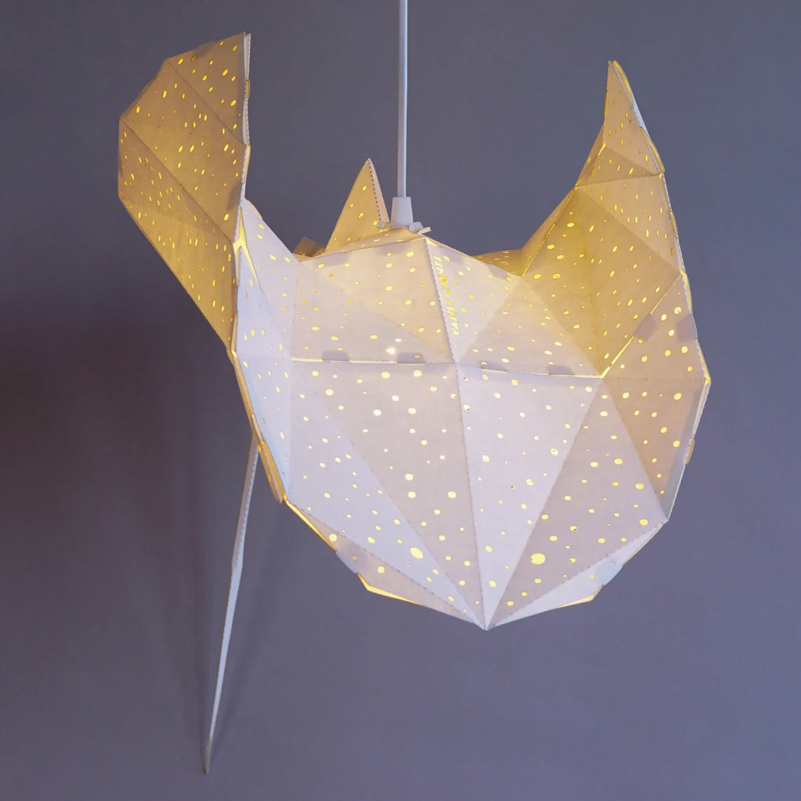 Pendant Ray lamp