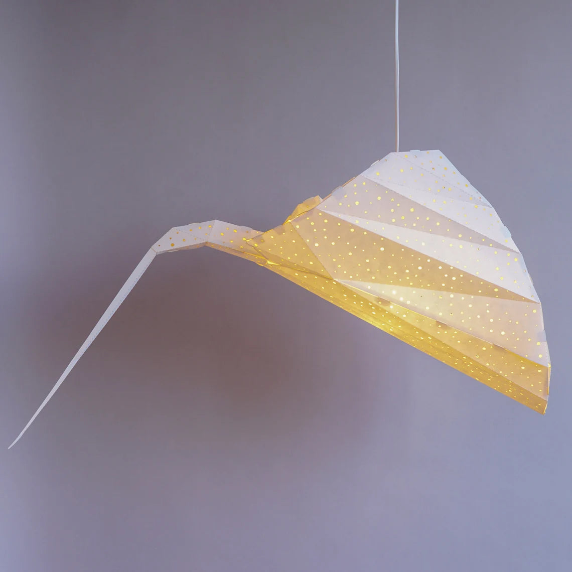 Pendant Ray lamp