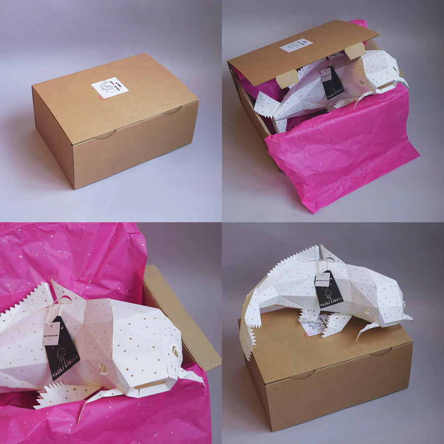 Pendant Koi Hikari light