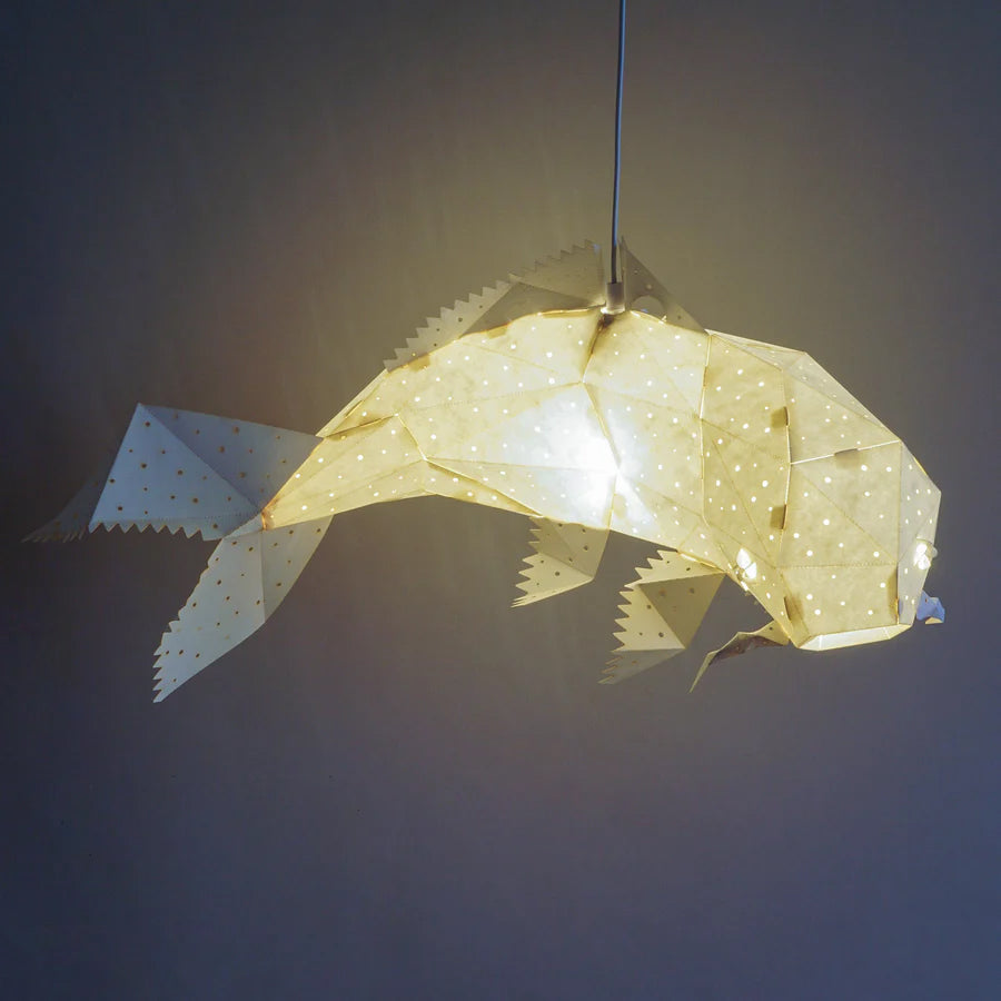 Pendant Koi Hikari light