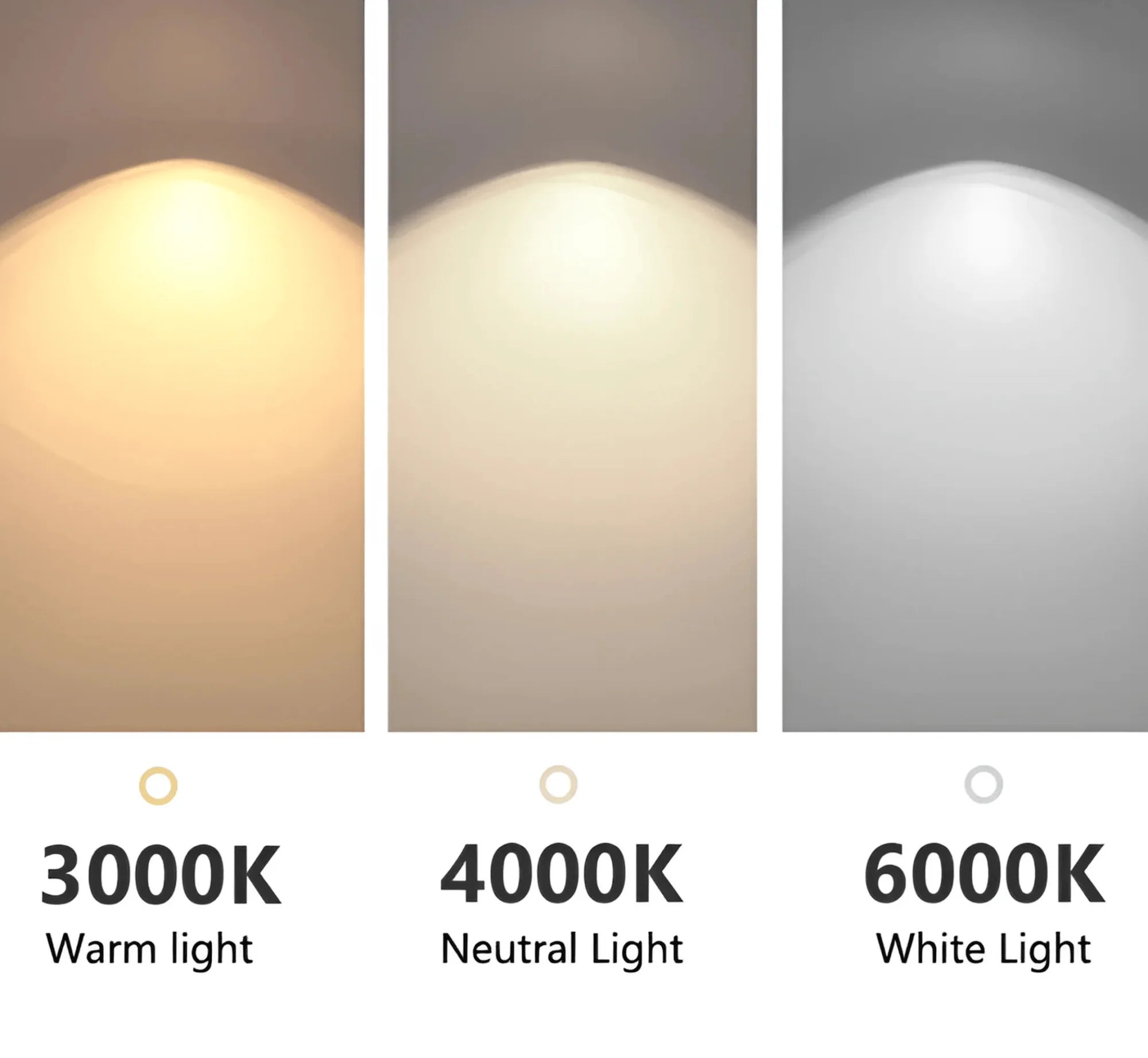 Panorama pendant light