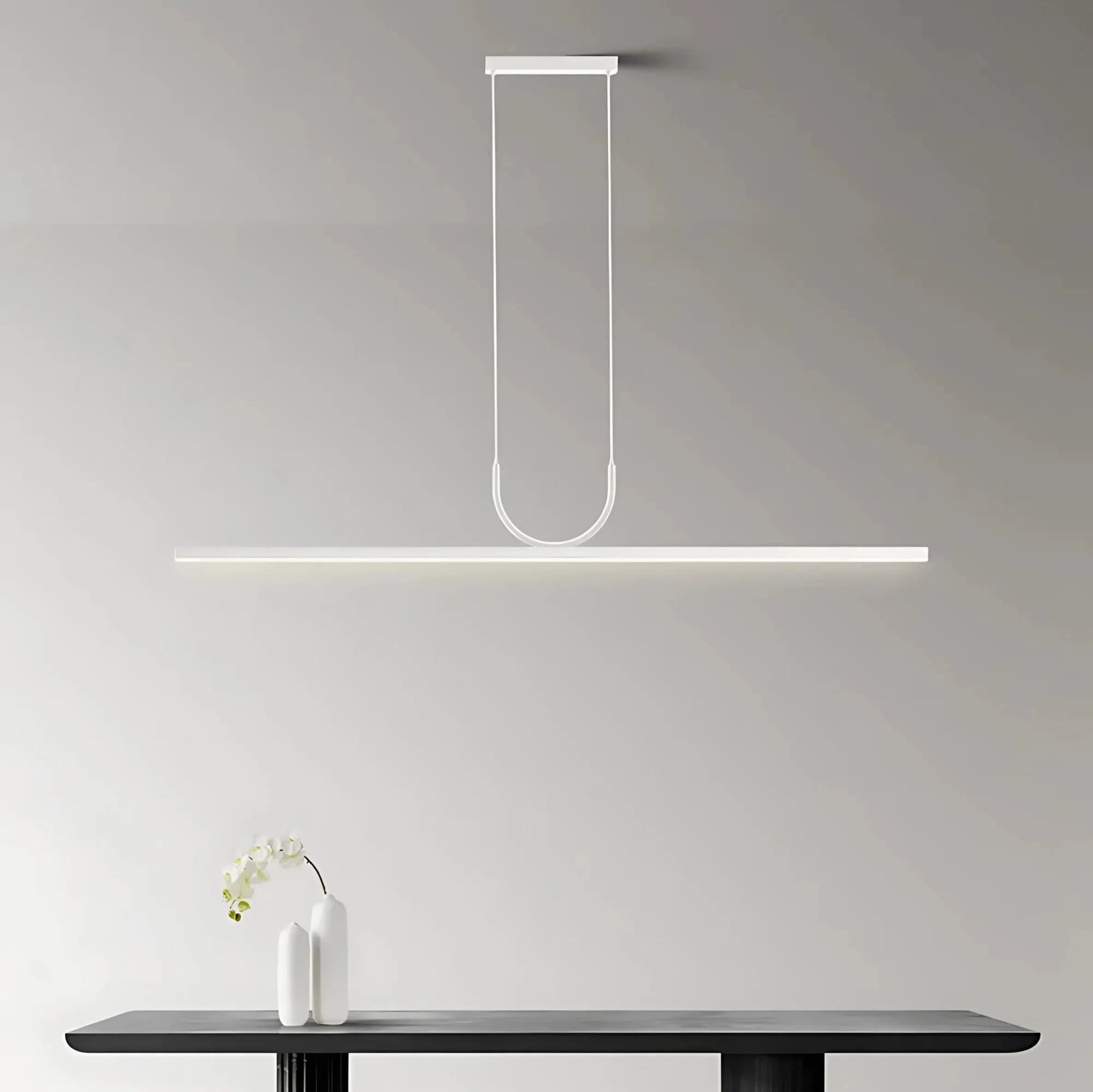 Panorama pendant light