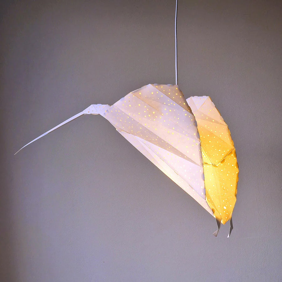 Pendant Ray lamp