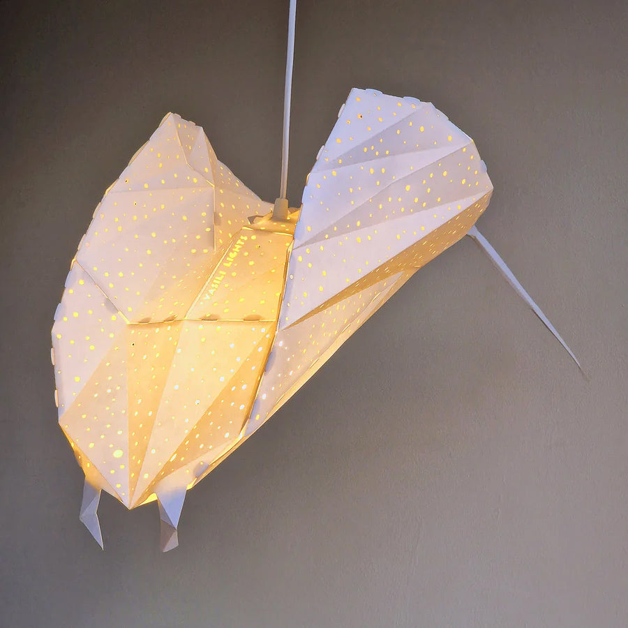 Pendant Ray lamp