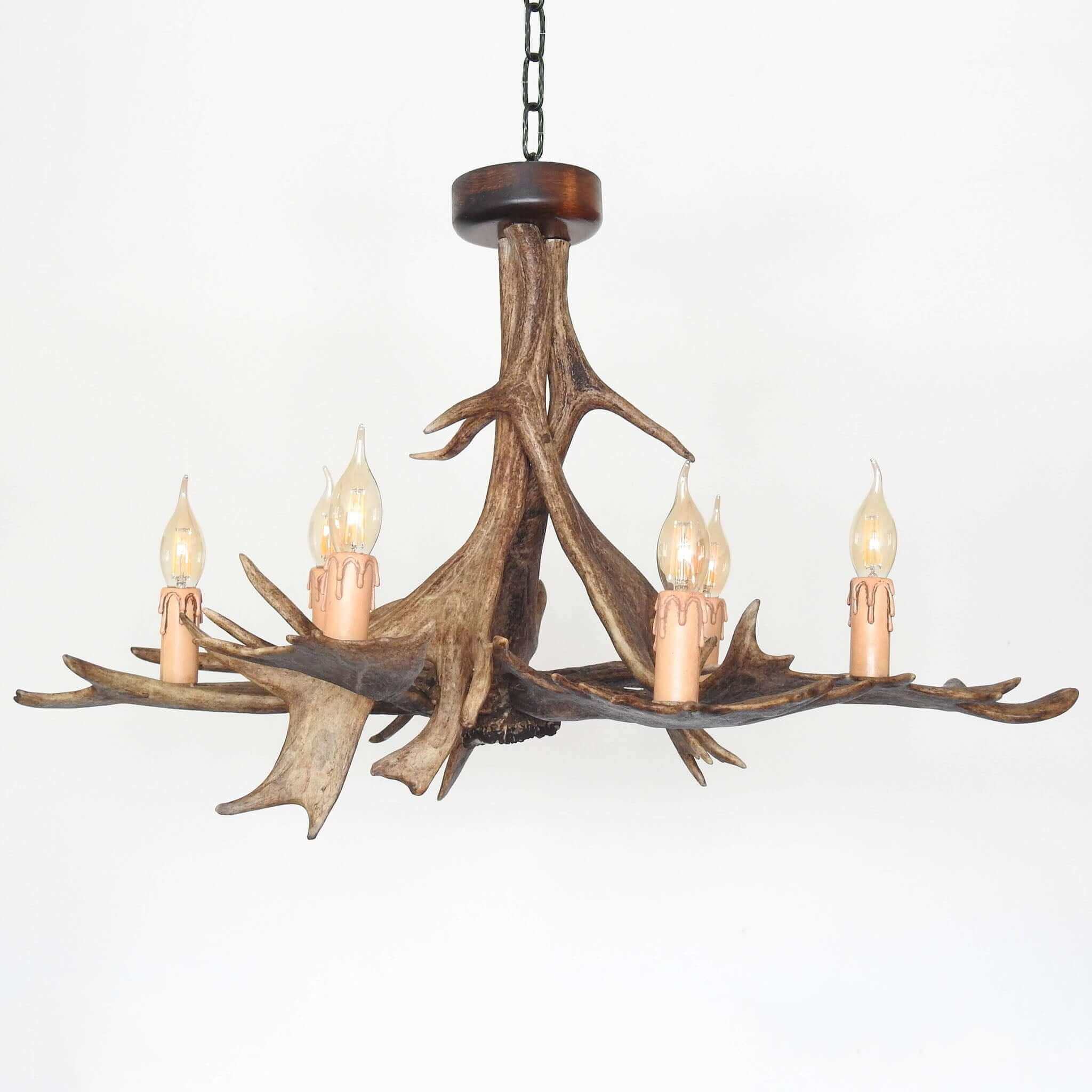 Classic fallow deer antler chandelier for 6 lights