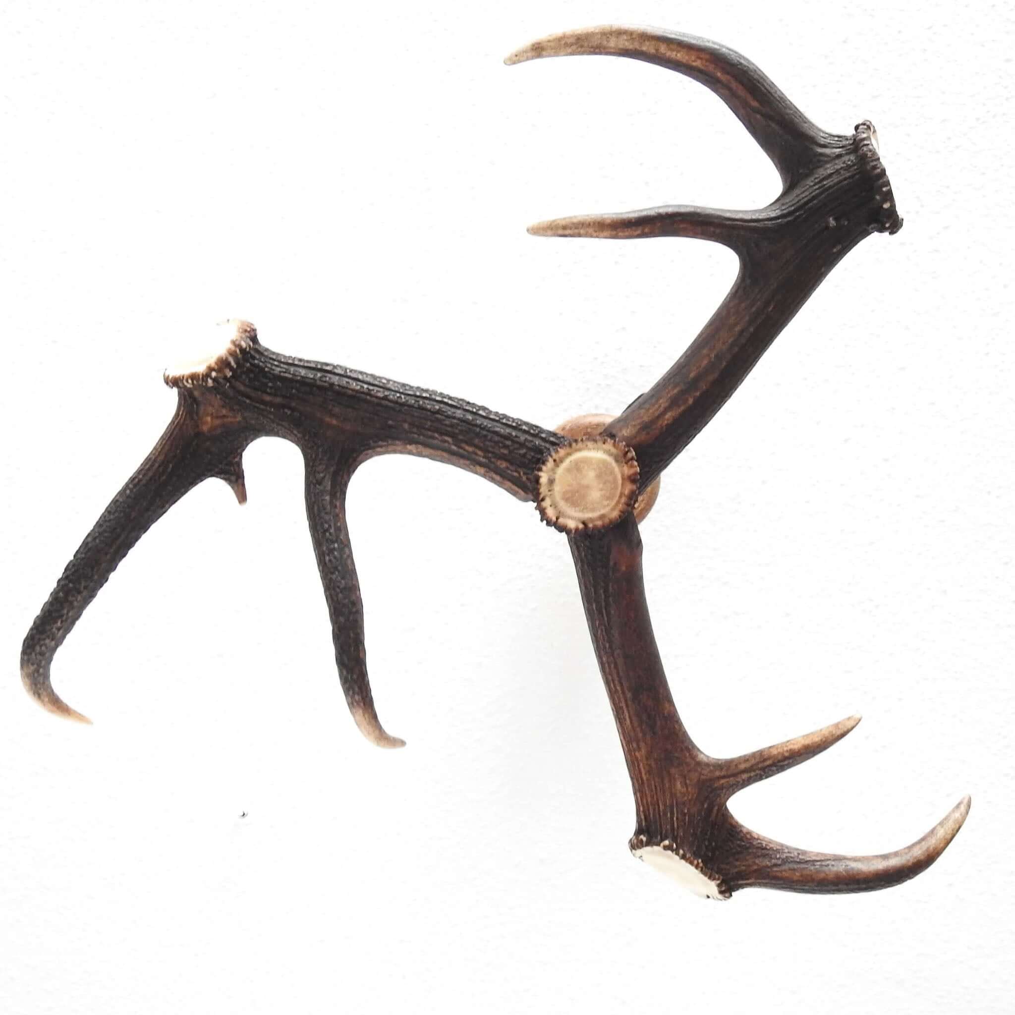 Real small antler chandelier on chain