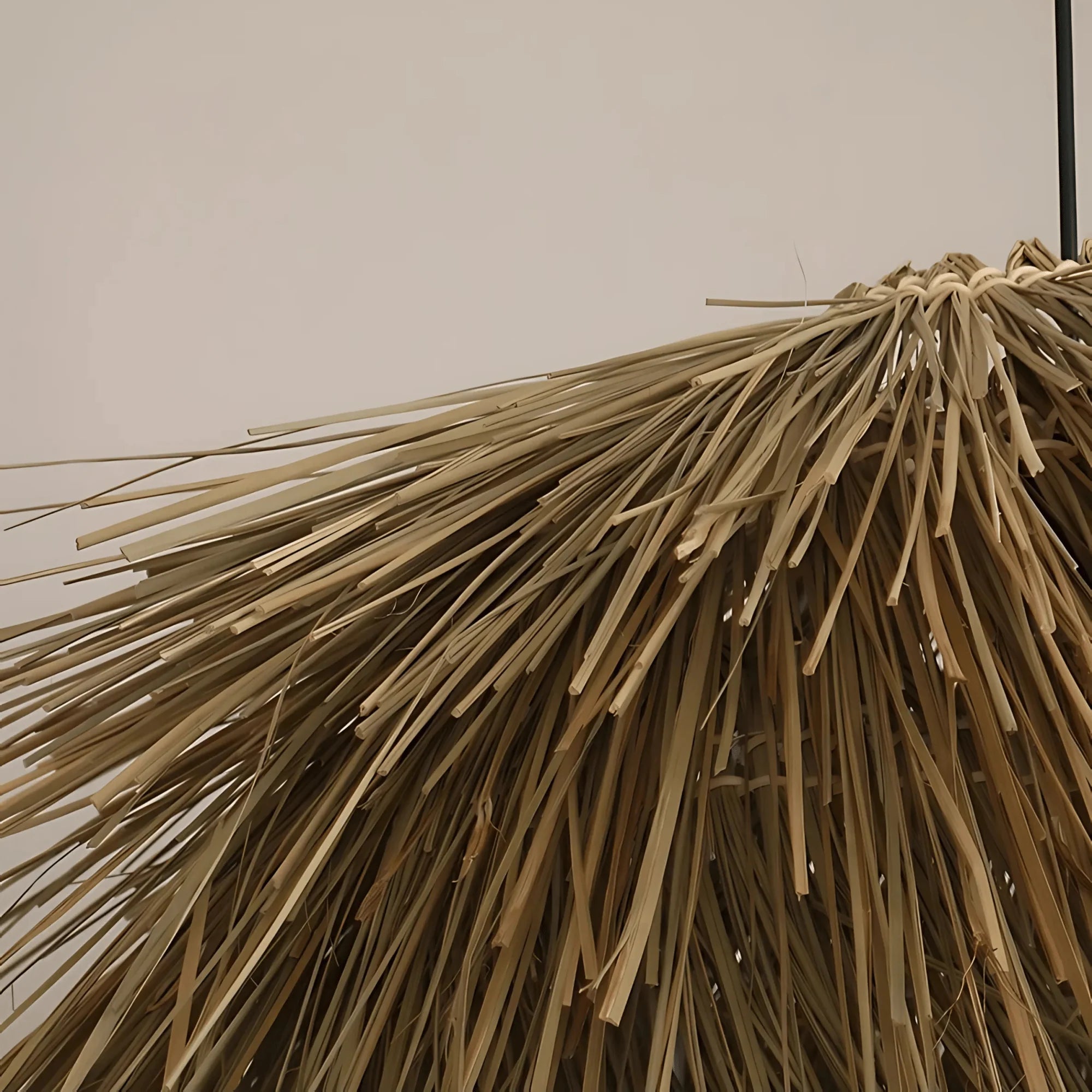 Valencia pendant light