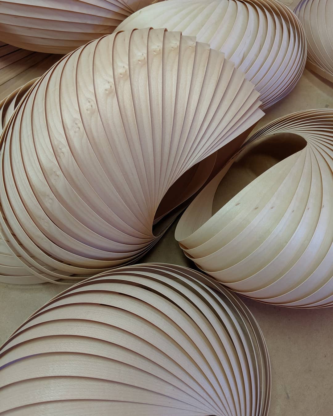 Wall lamp shell maple