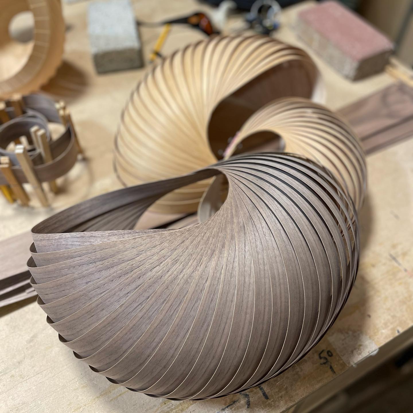 Wall lamp shell walnut