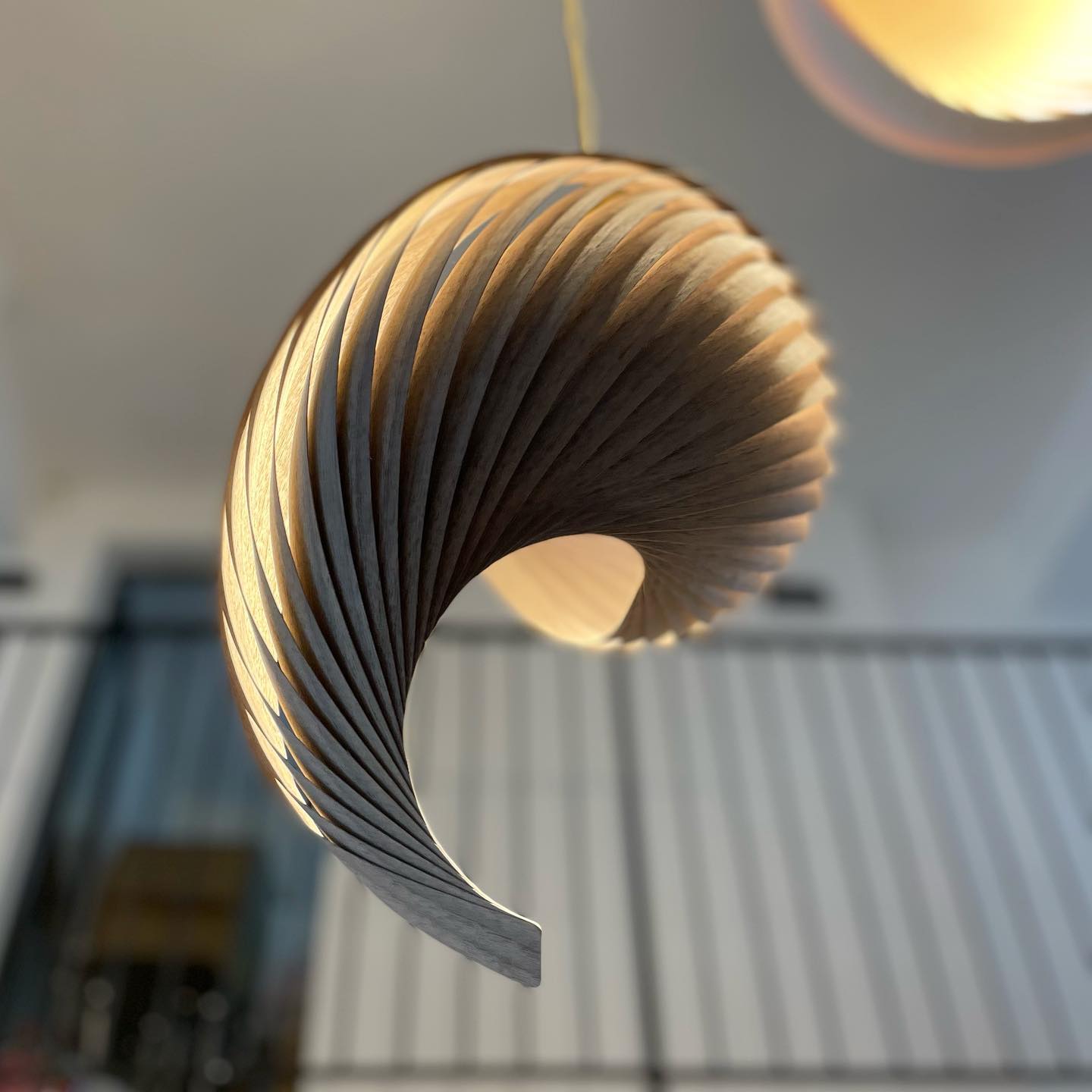 Pendant lamp wing walnut