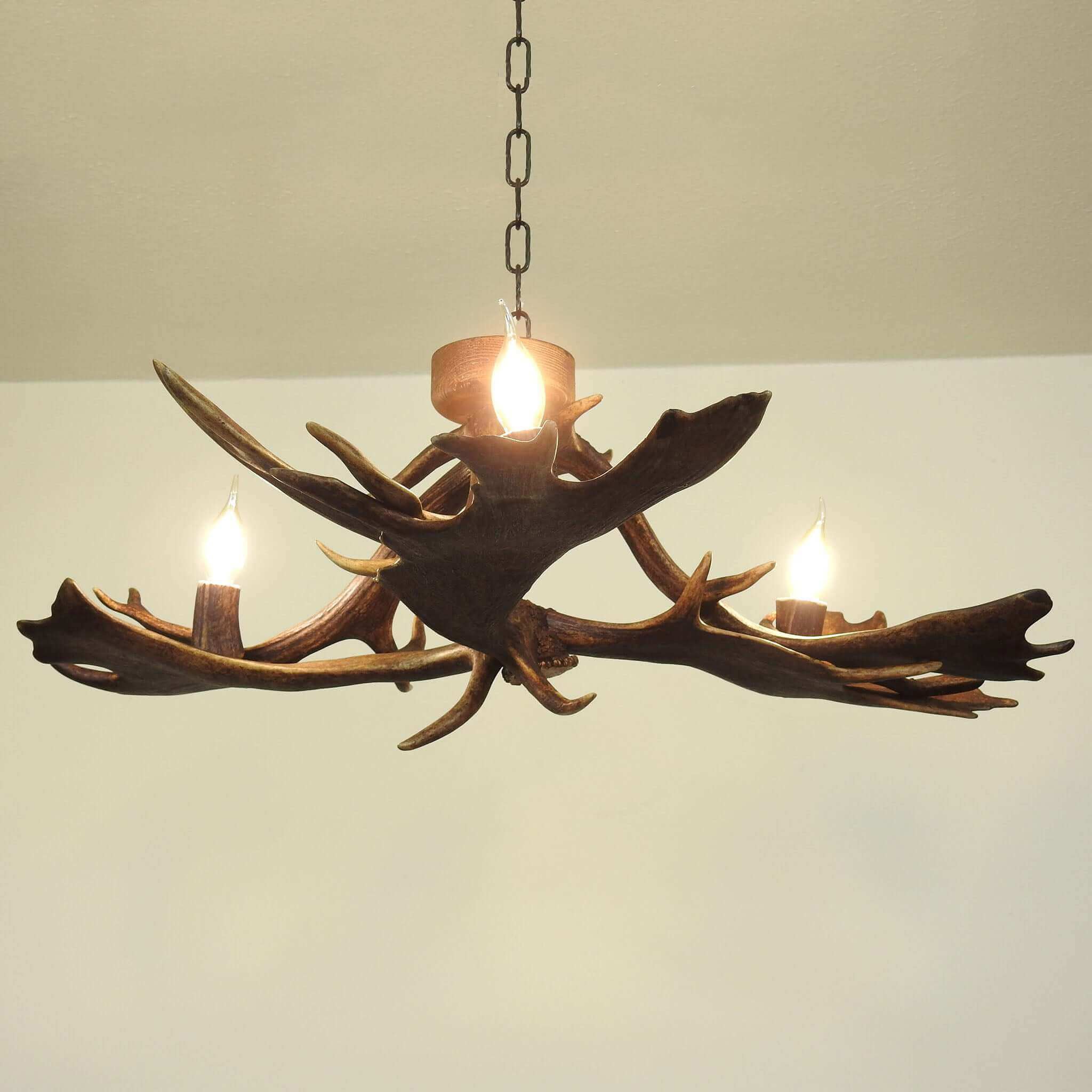 Real low ceiling antler chandelier with antler sockets