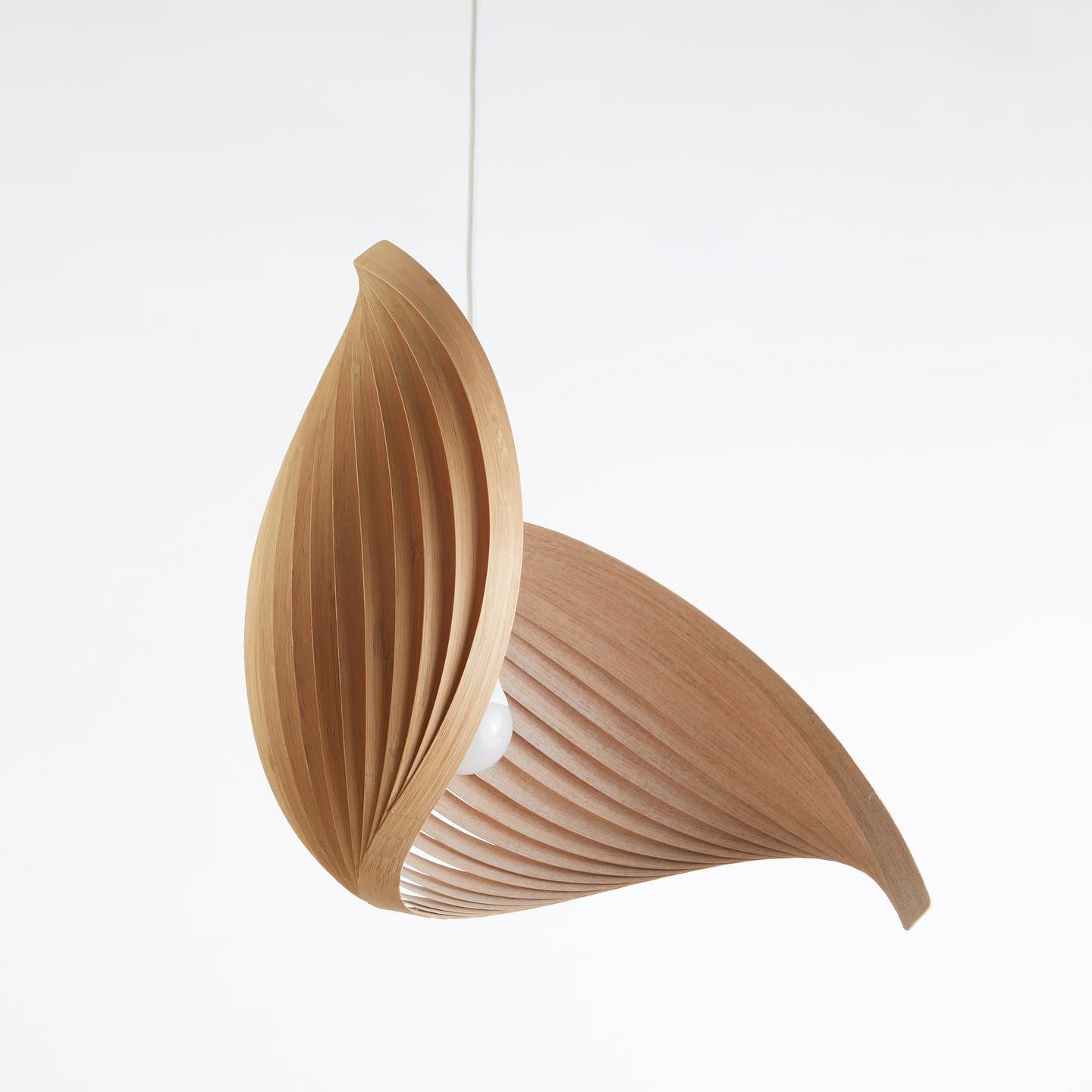 Pendant lamp wing bamboo