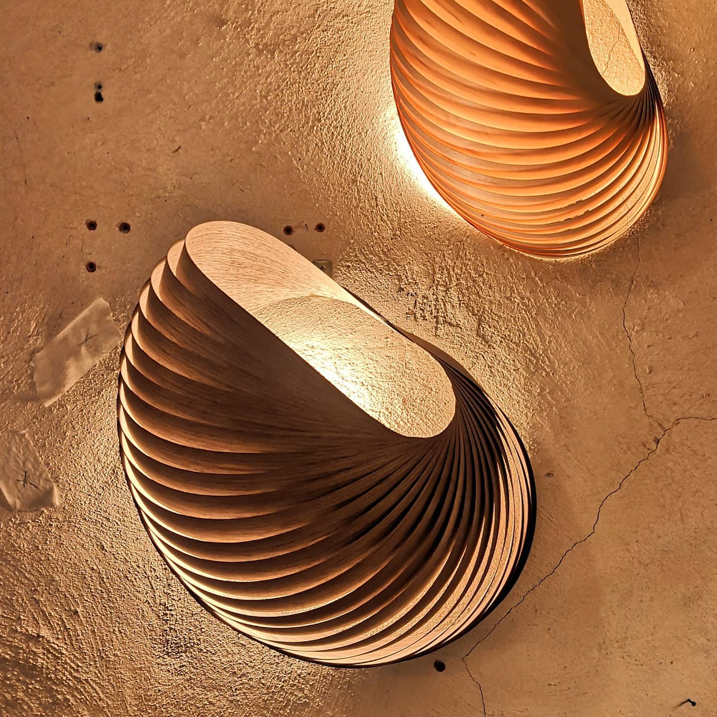 Wall lamp shell walnut