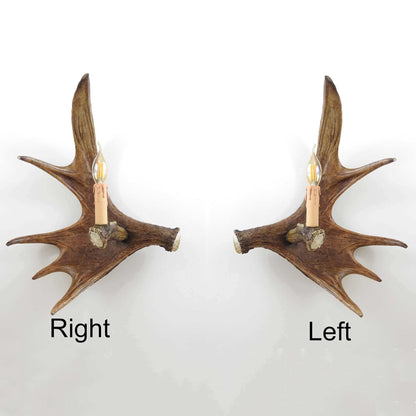 Real single moose sconce