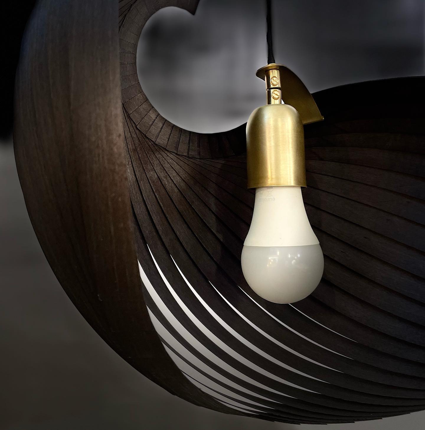 Pendant lamp wing black