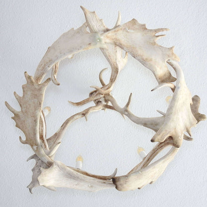 White modern fallow antler chandelier