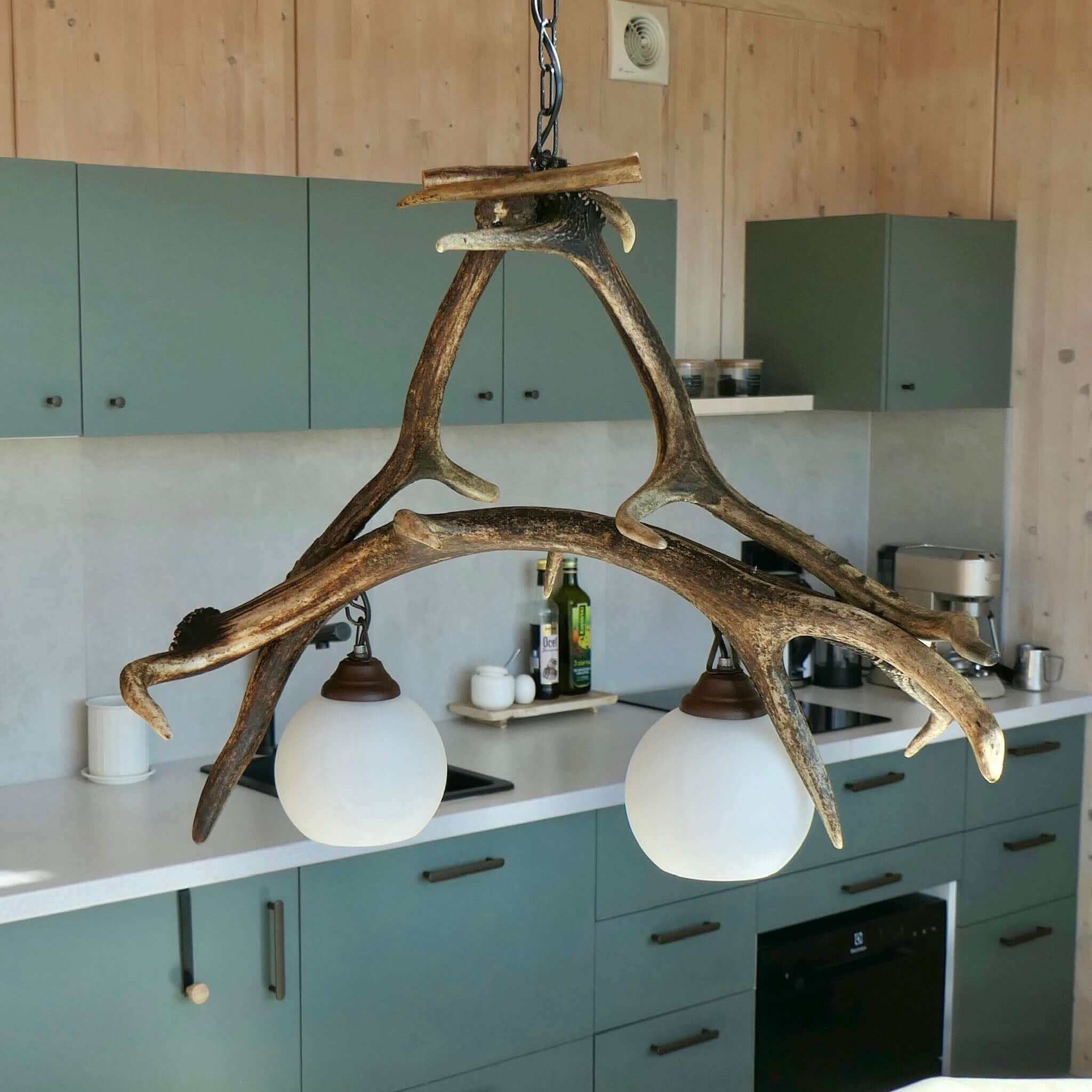 Real antler pendant lamp var.1